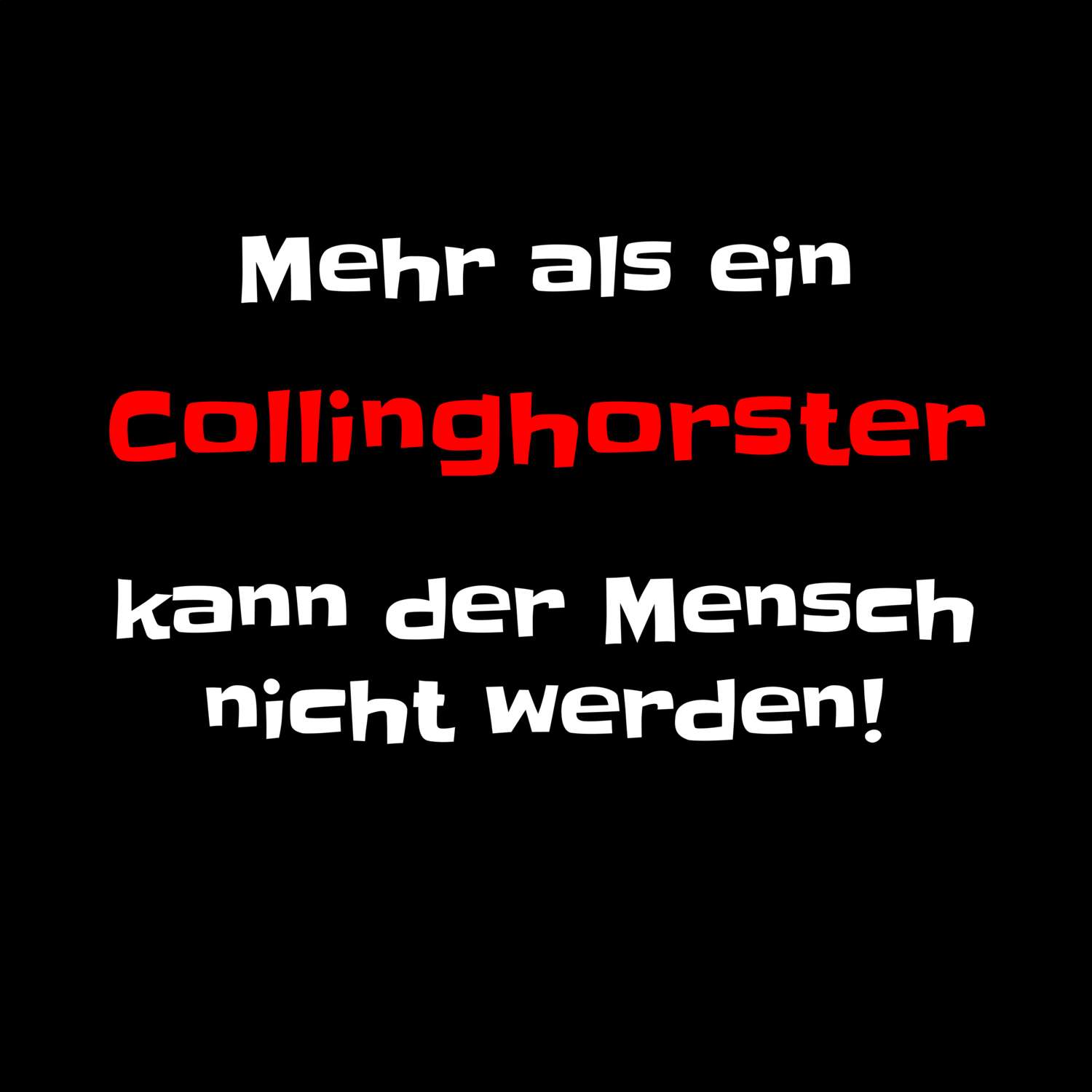 Collinghorst T-Shirt »Mehr als ein«