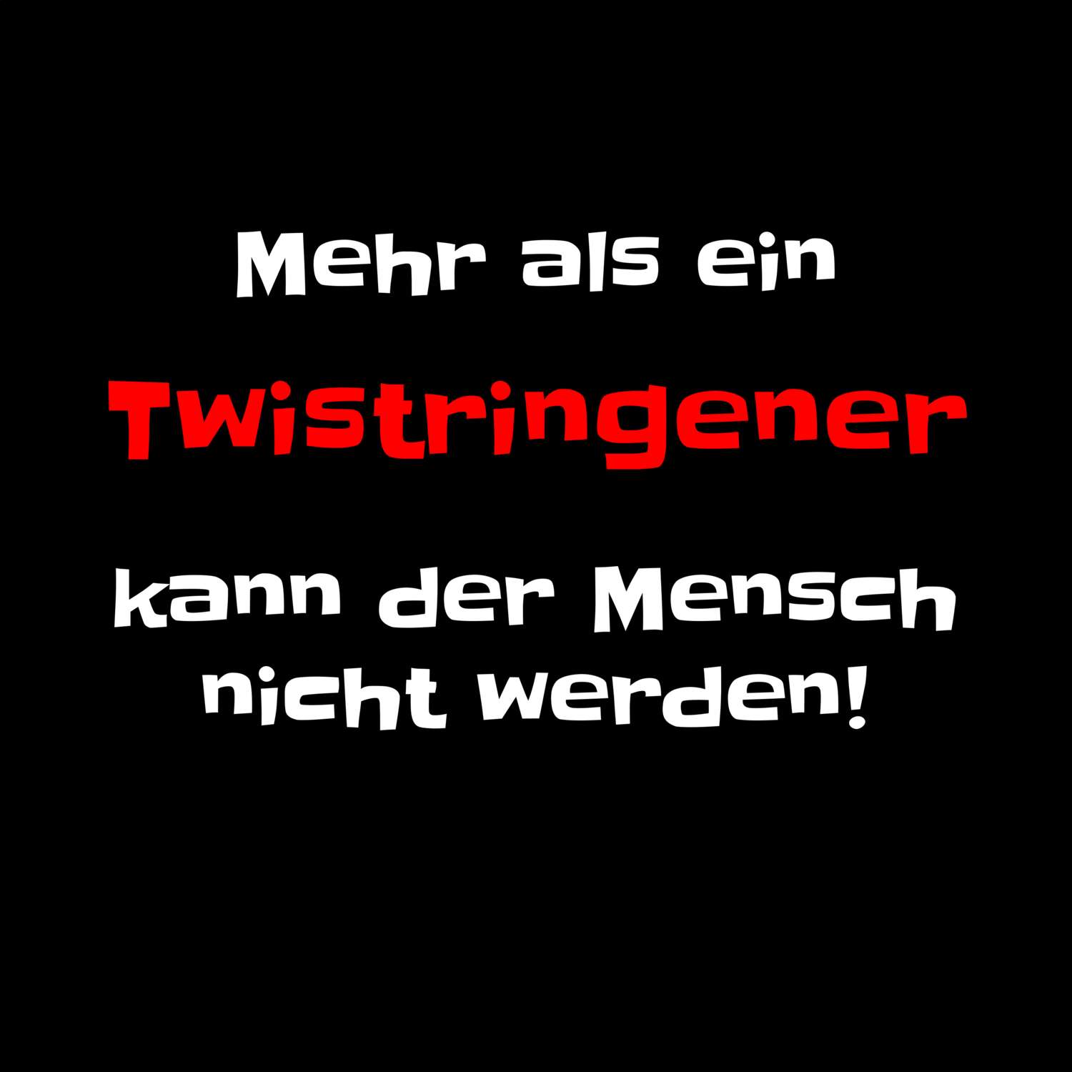 Twistringen T-Shirt »Mehr als ein«