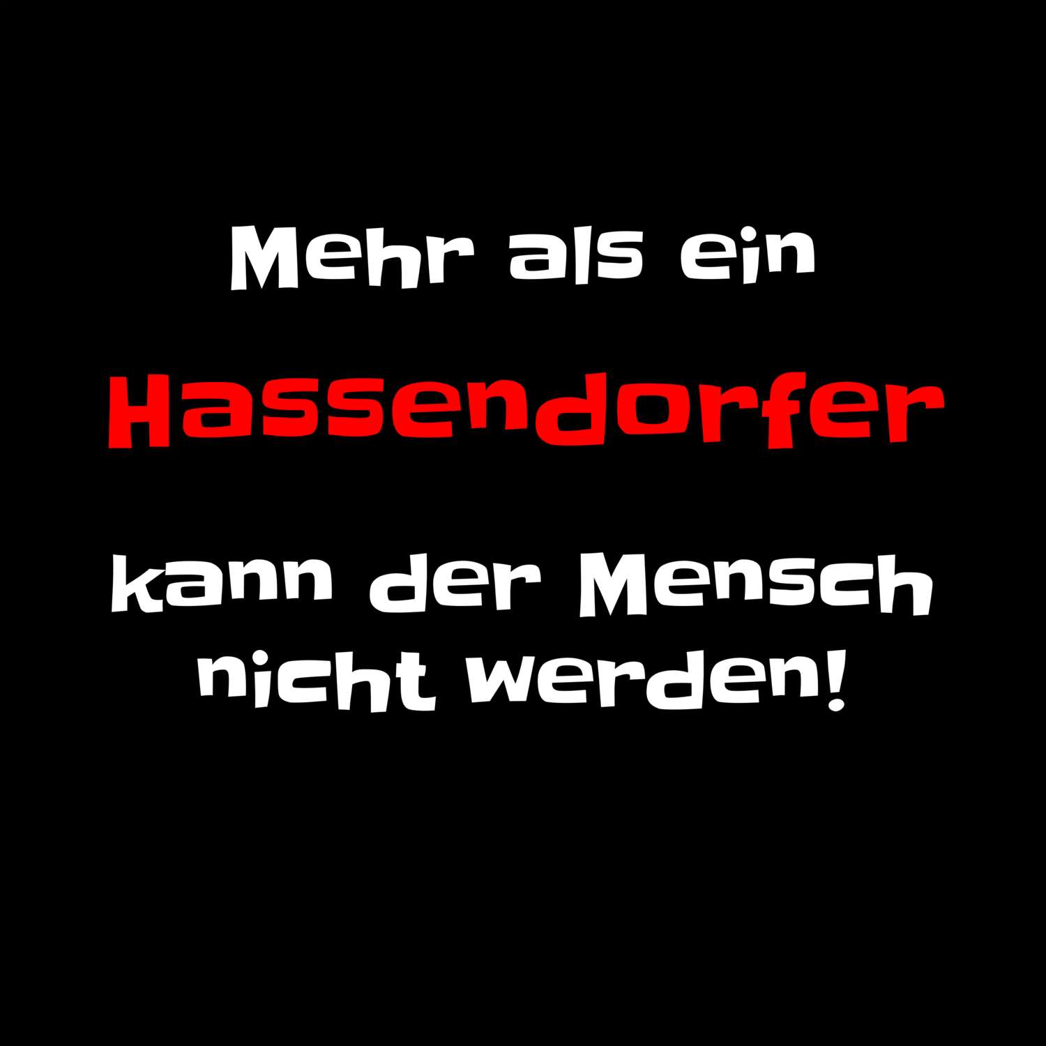 Hassendorf T-Shirt »Mehr als ein«