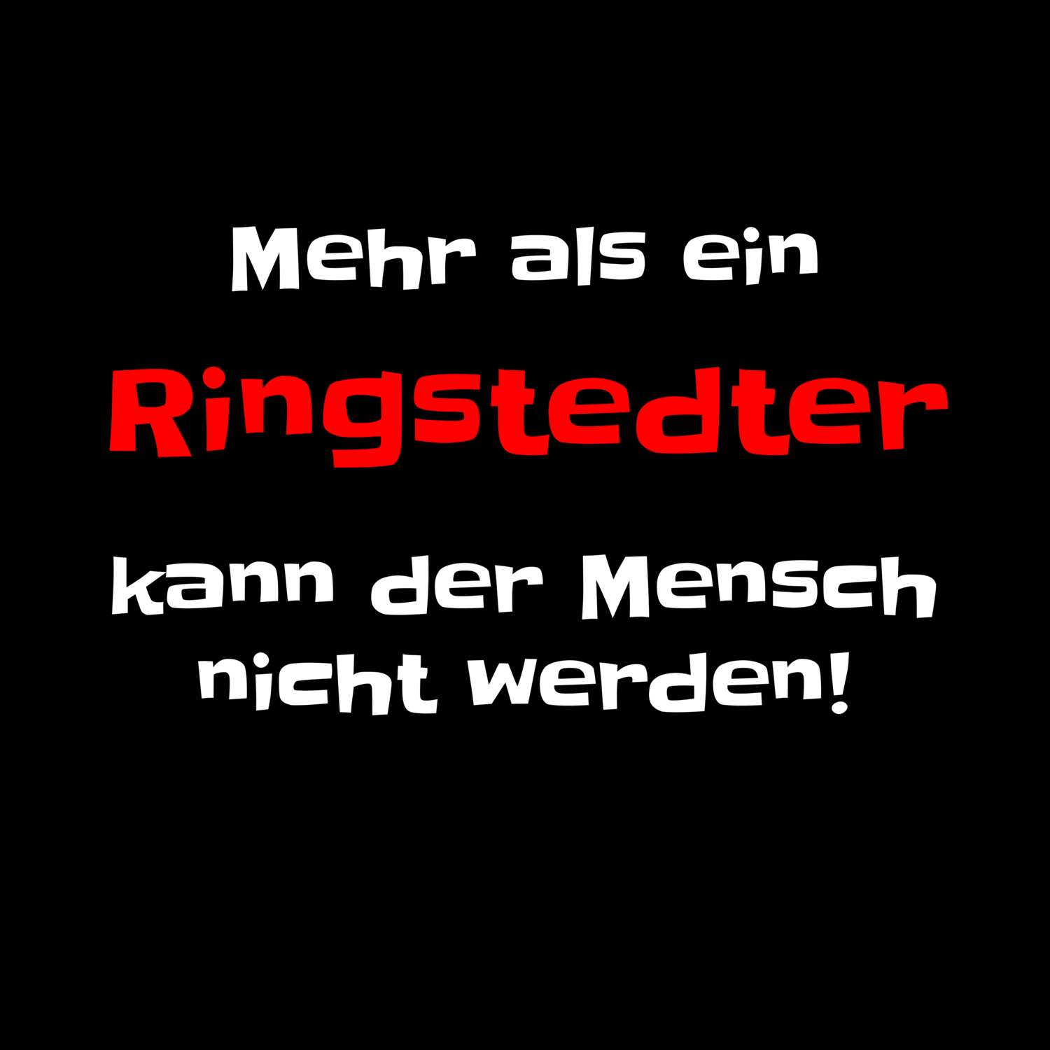 Ringstedt T-Shirt »Mehr als ein«