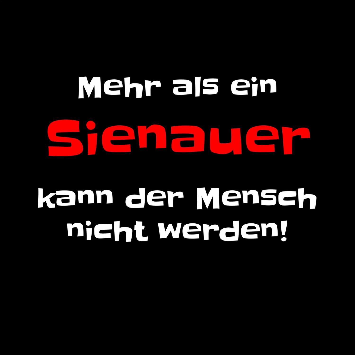 Sienau T-Shirt »Mehr als ein«