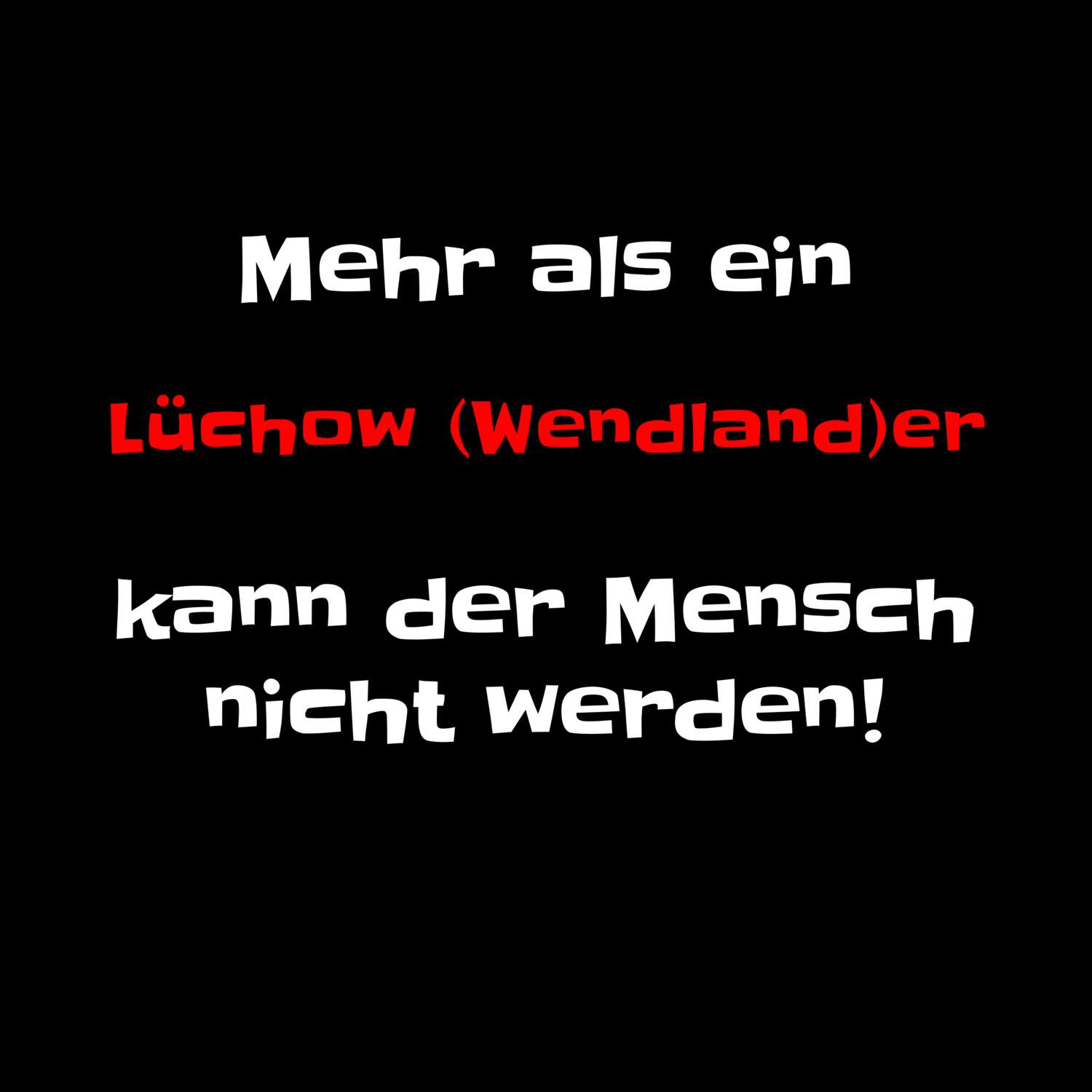 T-Shirt »Mehr als ein« für den Ort »Lüchow (Wendland)«