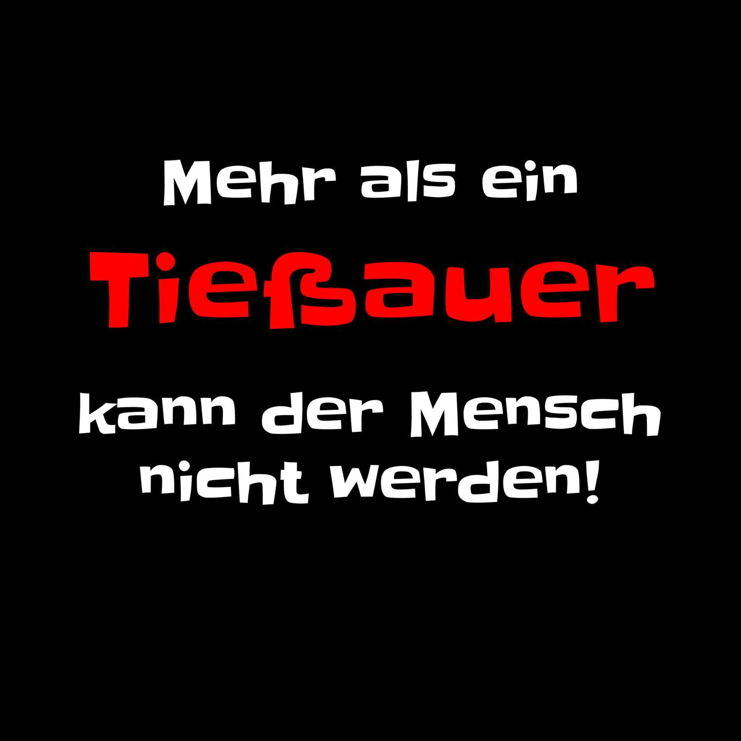 Tießau T-Shirt »Mehr als ein«