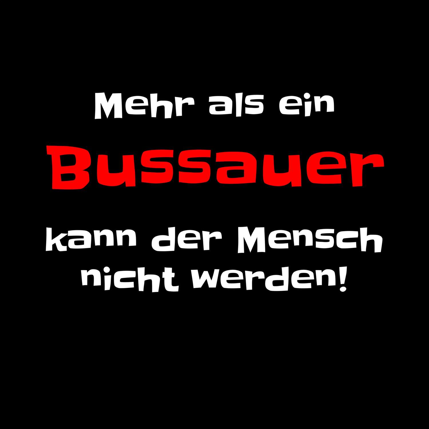 Bussau T-Shirt »Mehr als ein«