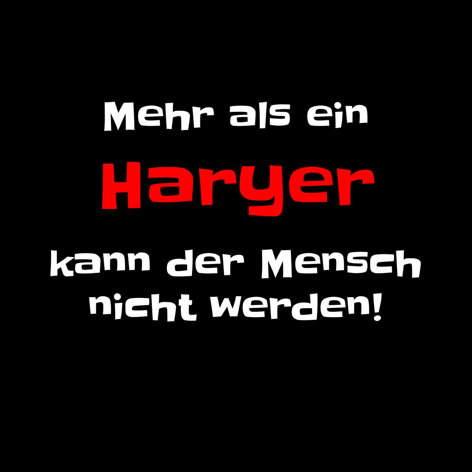 Hary T-Shirt »Mehr als ein«