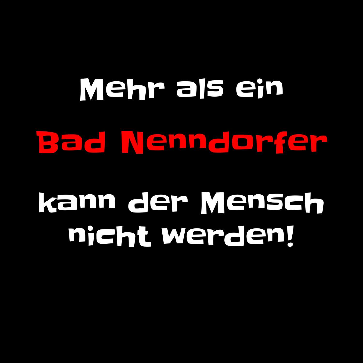 Bad Nenndorf T-Shirt »Mehr als ein«