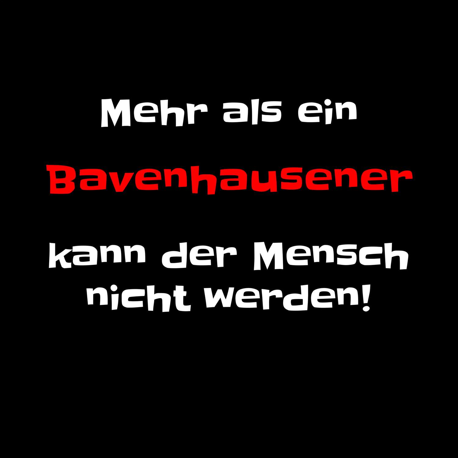 Bavenhausen T-Shirt »Mehr als ein«