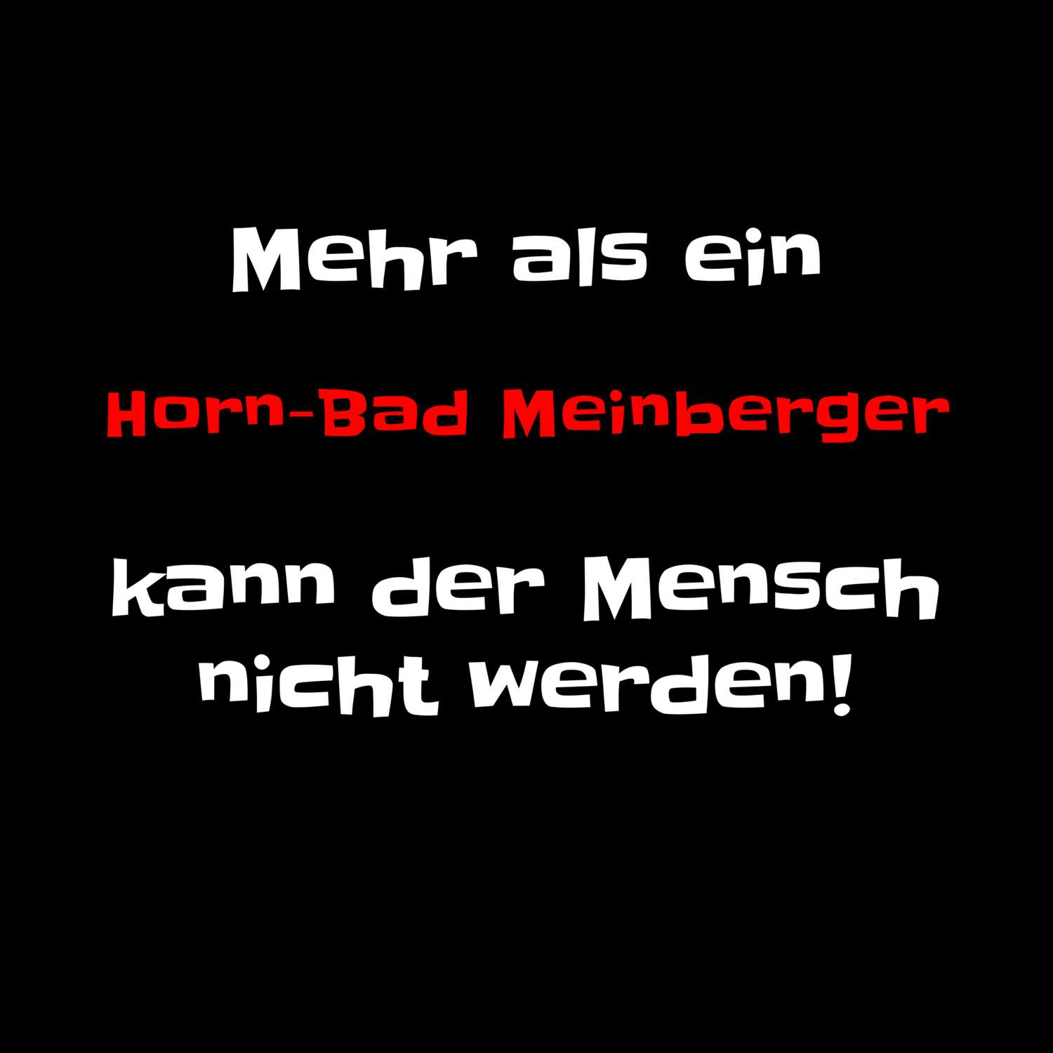 Horn-Bad Meinberg T-Shirt »Mehr als ein«