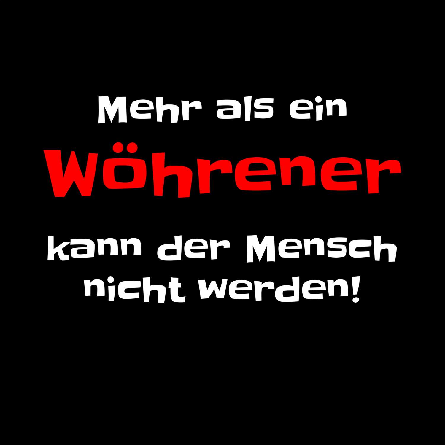 Wöhren T-Shirt »Mehr als ein«