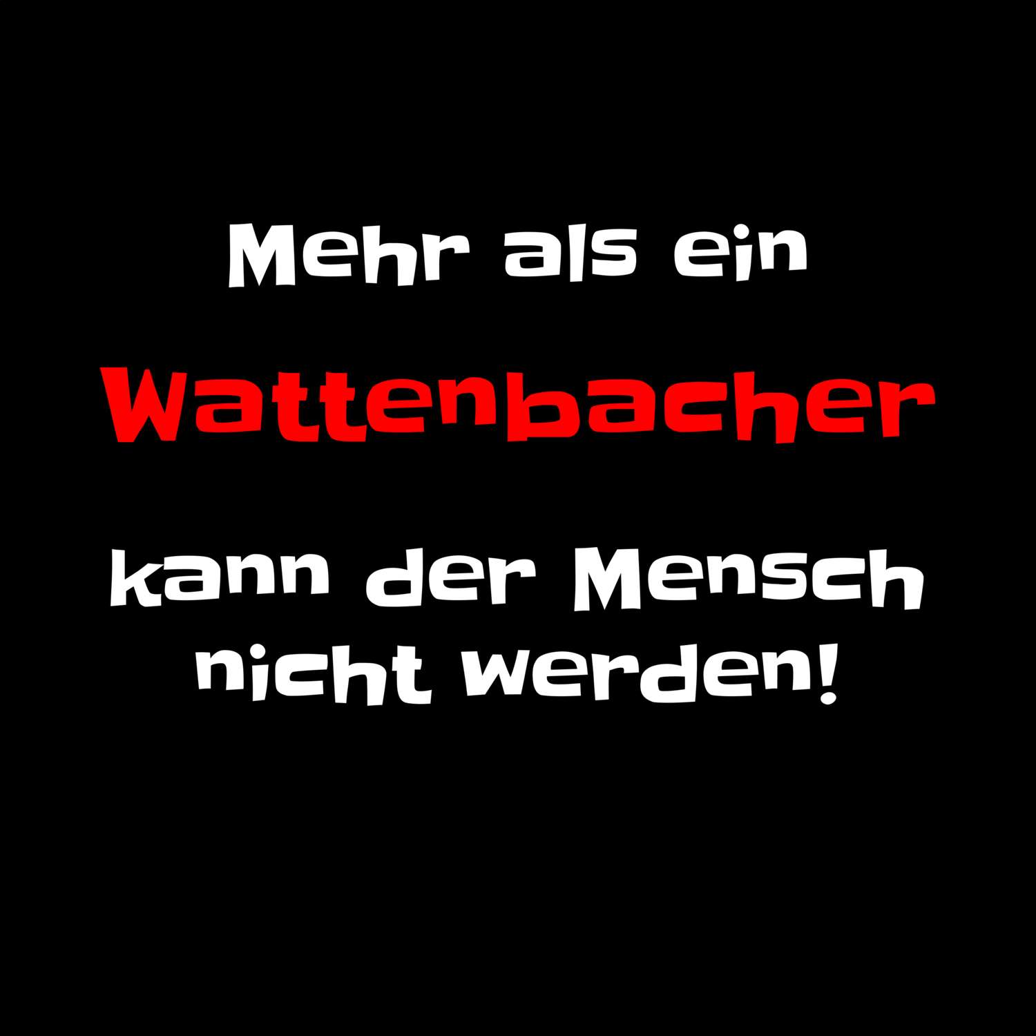 Wattenbach T-Shirt »Mehr als ein«