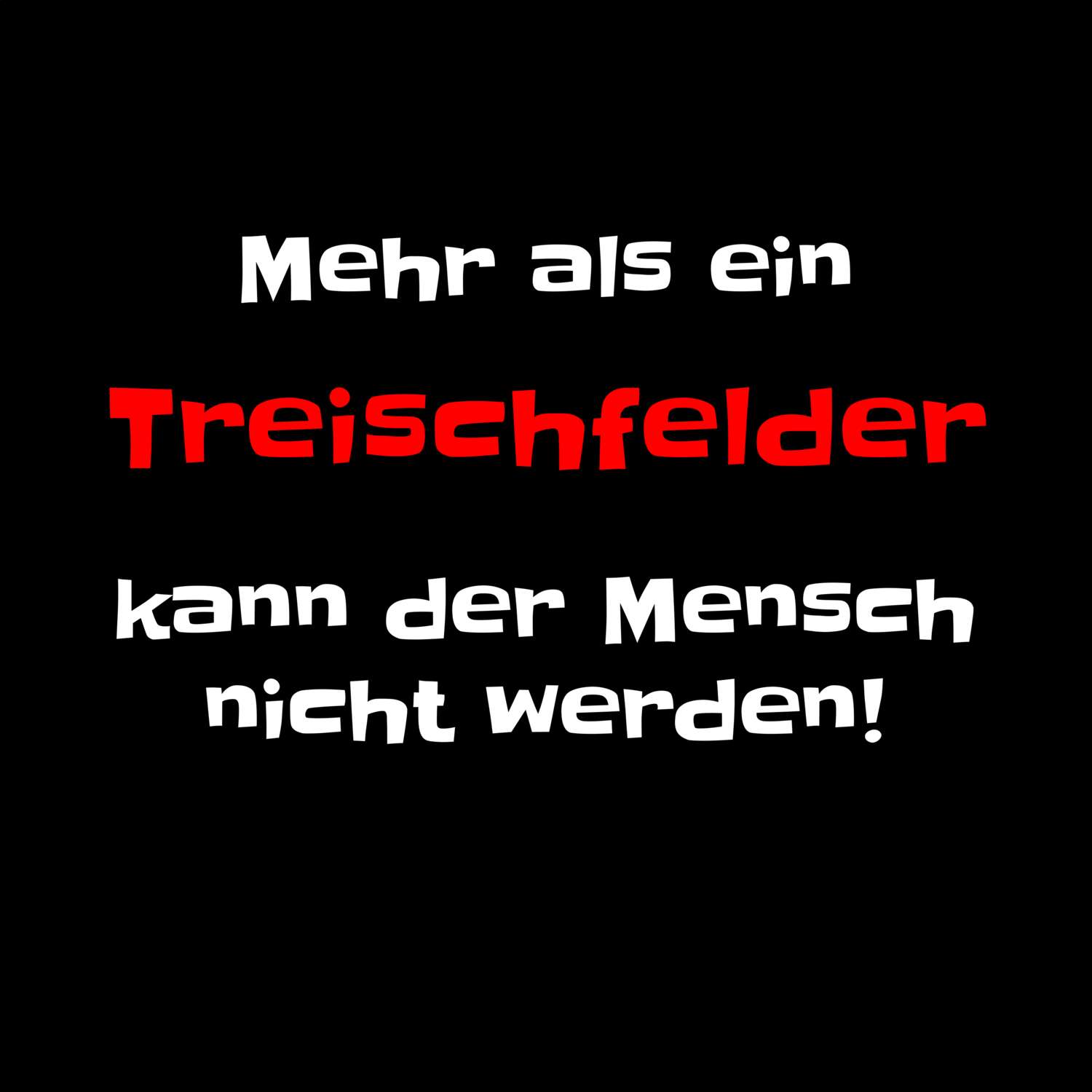 Treischfeld T-Shirt »Mehr als ein«