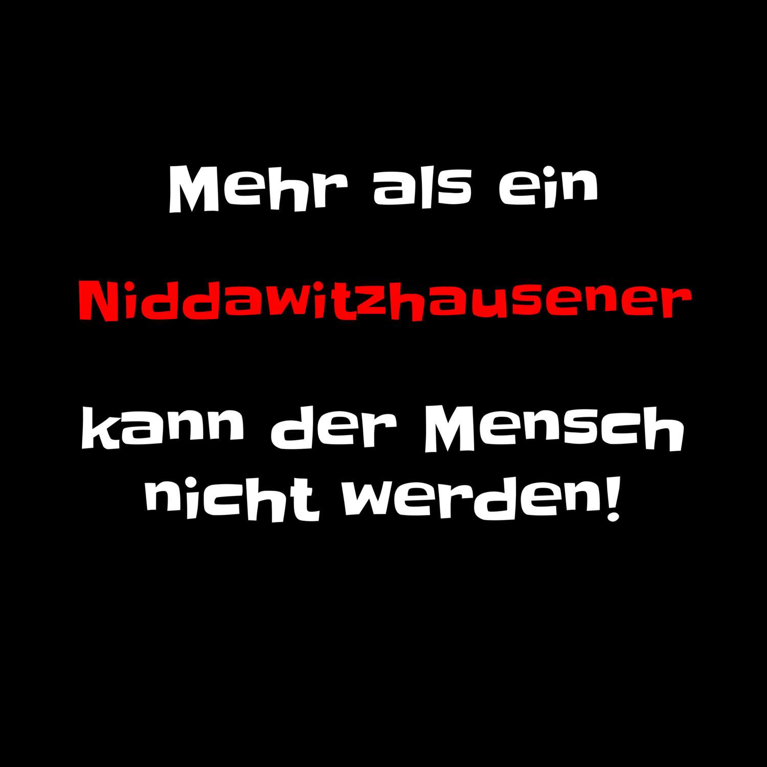 Niddawitzhausen T-Shirt »Mehr als ein«