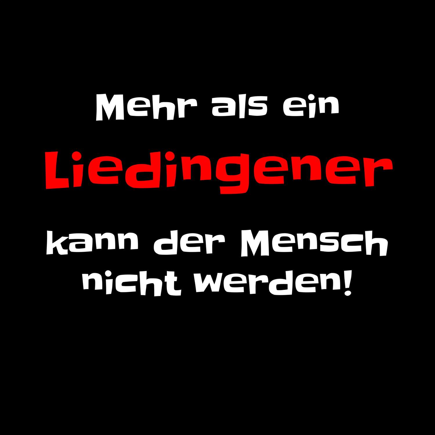 Liedingen T-Shirt »Mehr als ein«