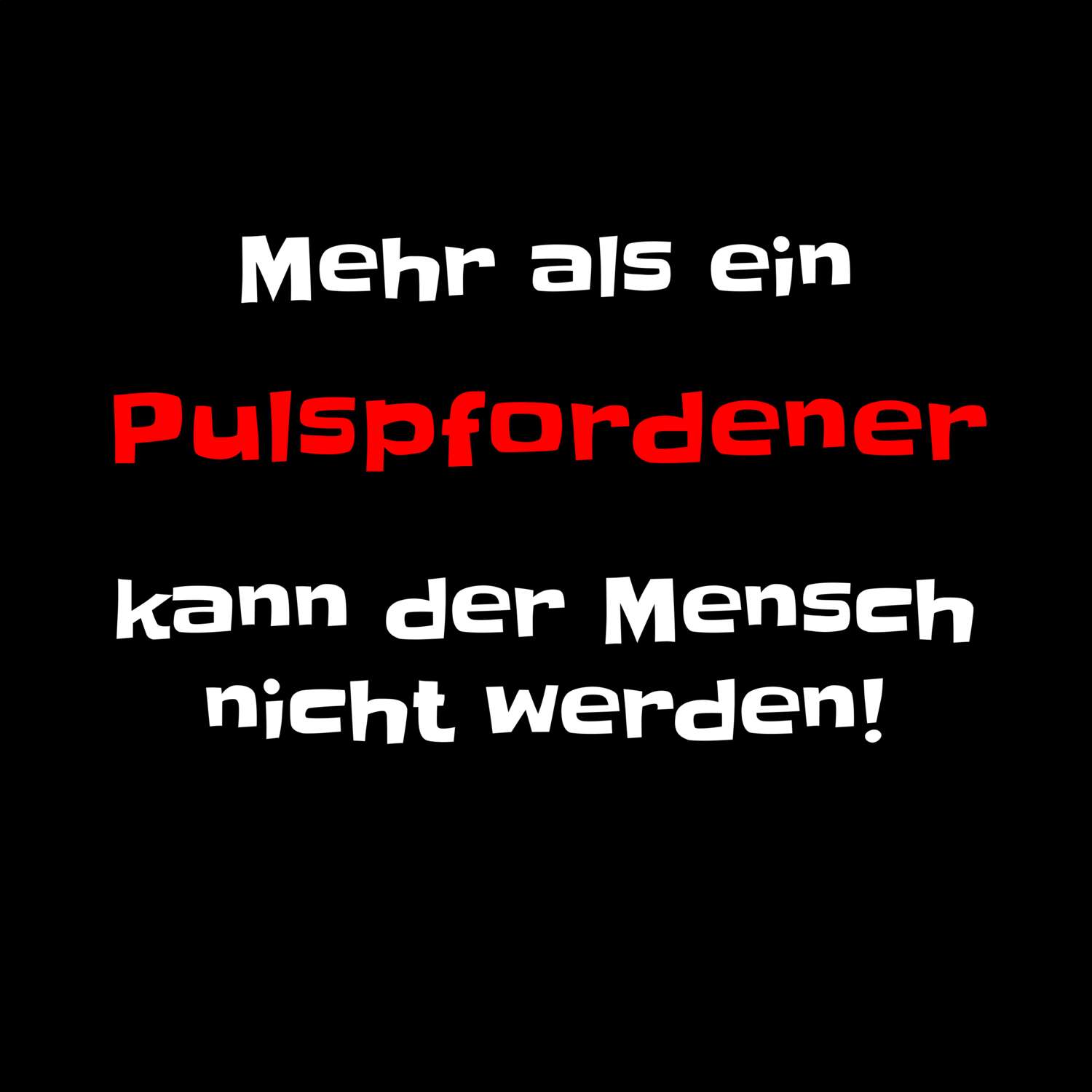 Pulspforde T-Shirt »Mehr als ein«