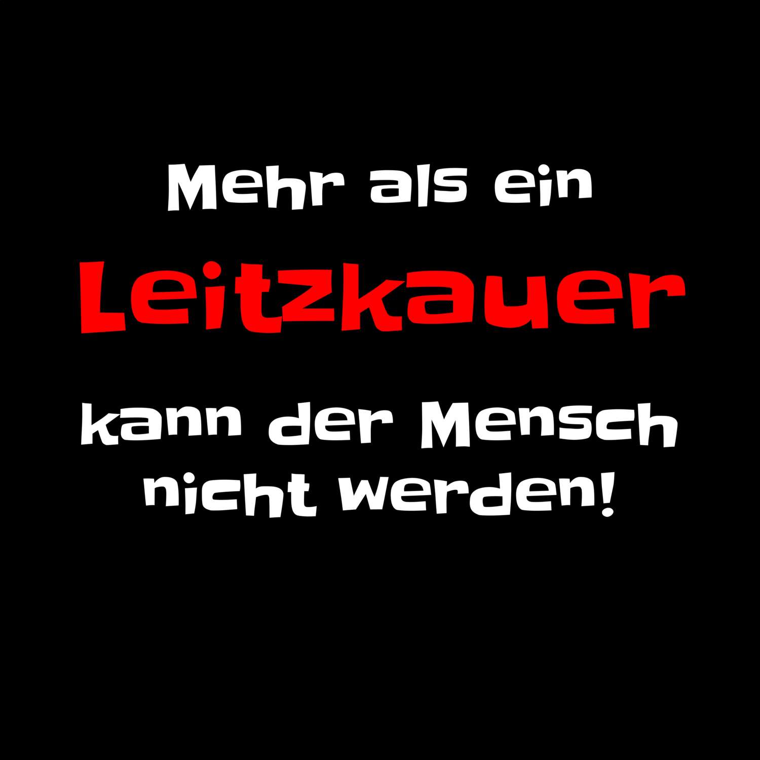 Leitzkau T-Shirt »Mehr als ein«