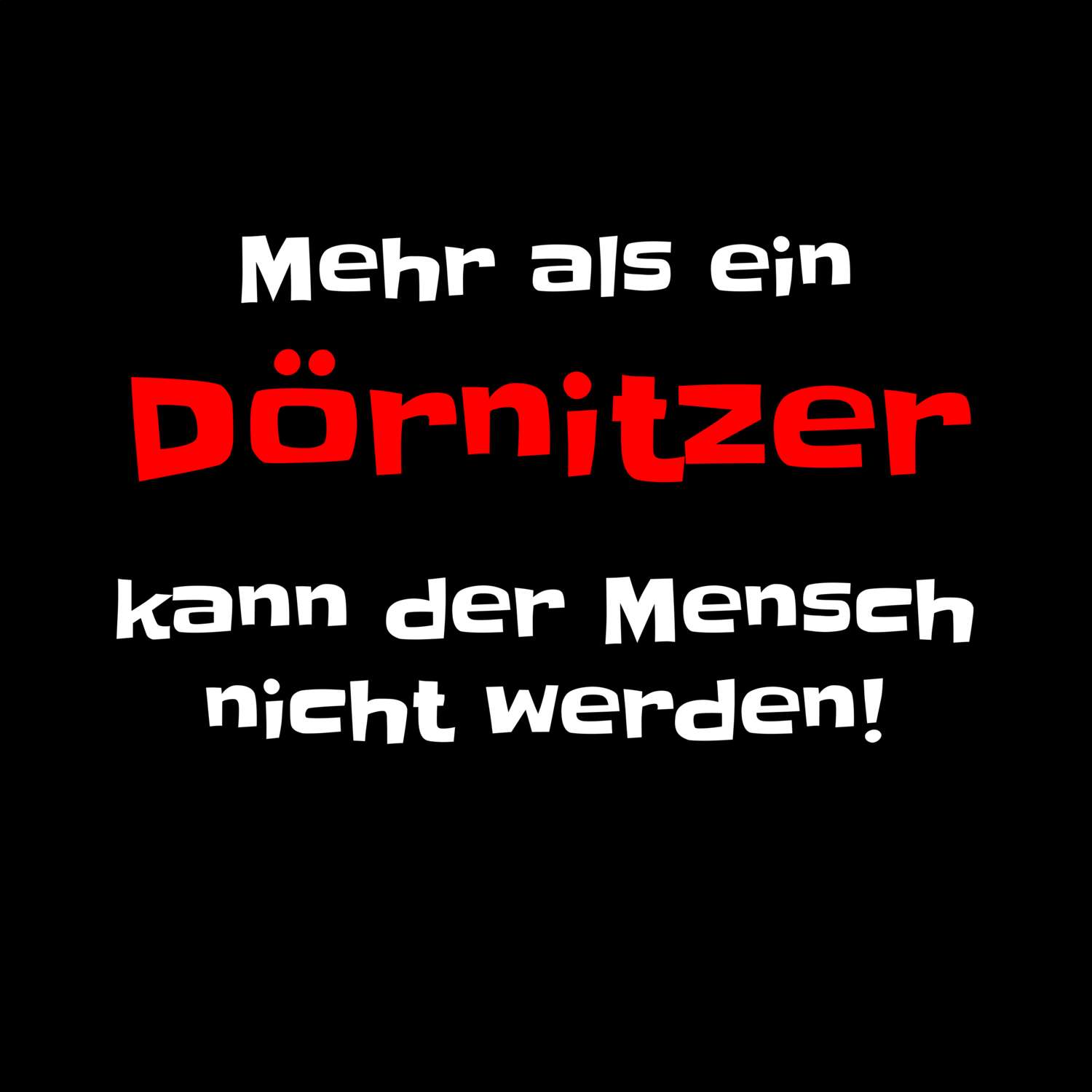 Dörnitz T-Shirt »Mehr als ein«