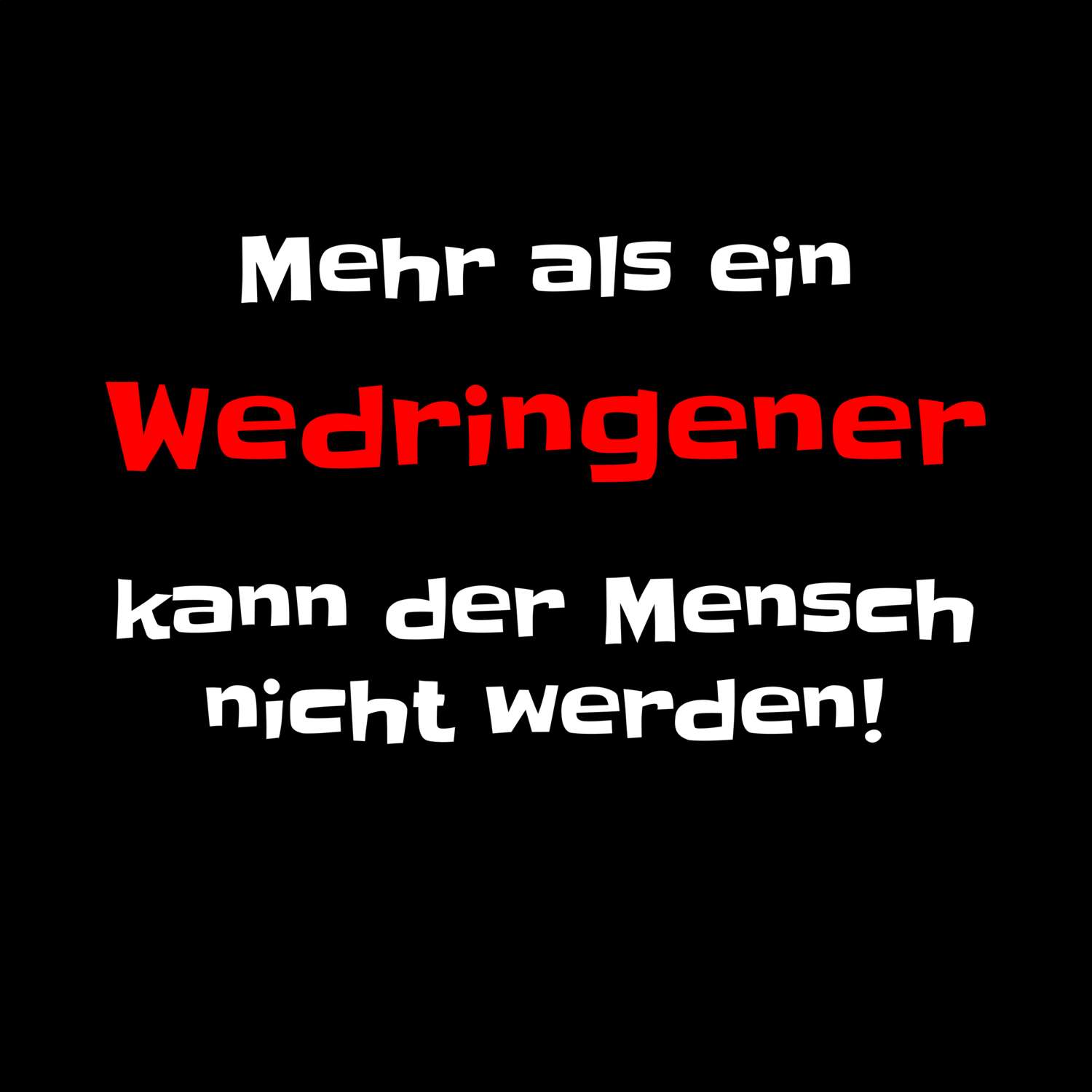 Wedringen T-Shirt »Mehr als ein«