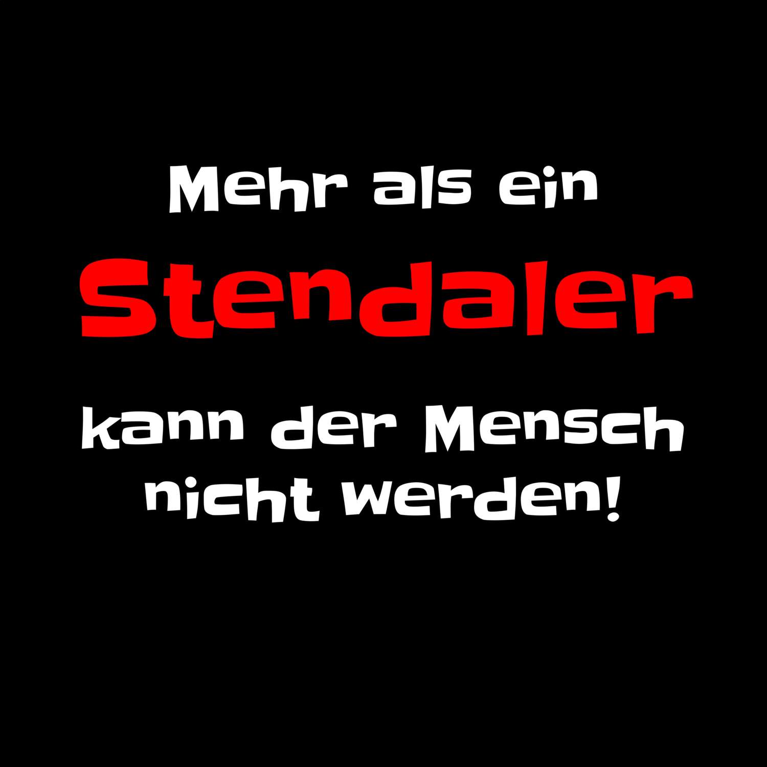 Stendal T-Shirt »Mehr als ein«