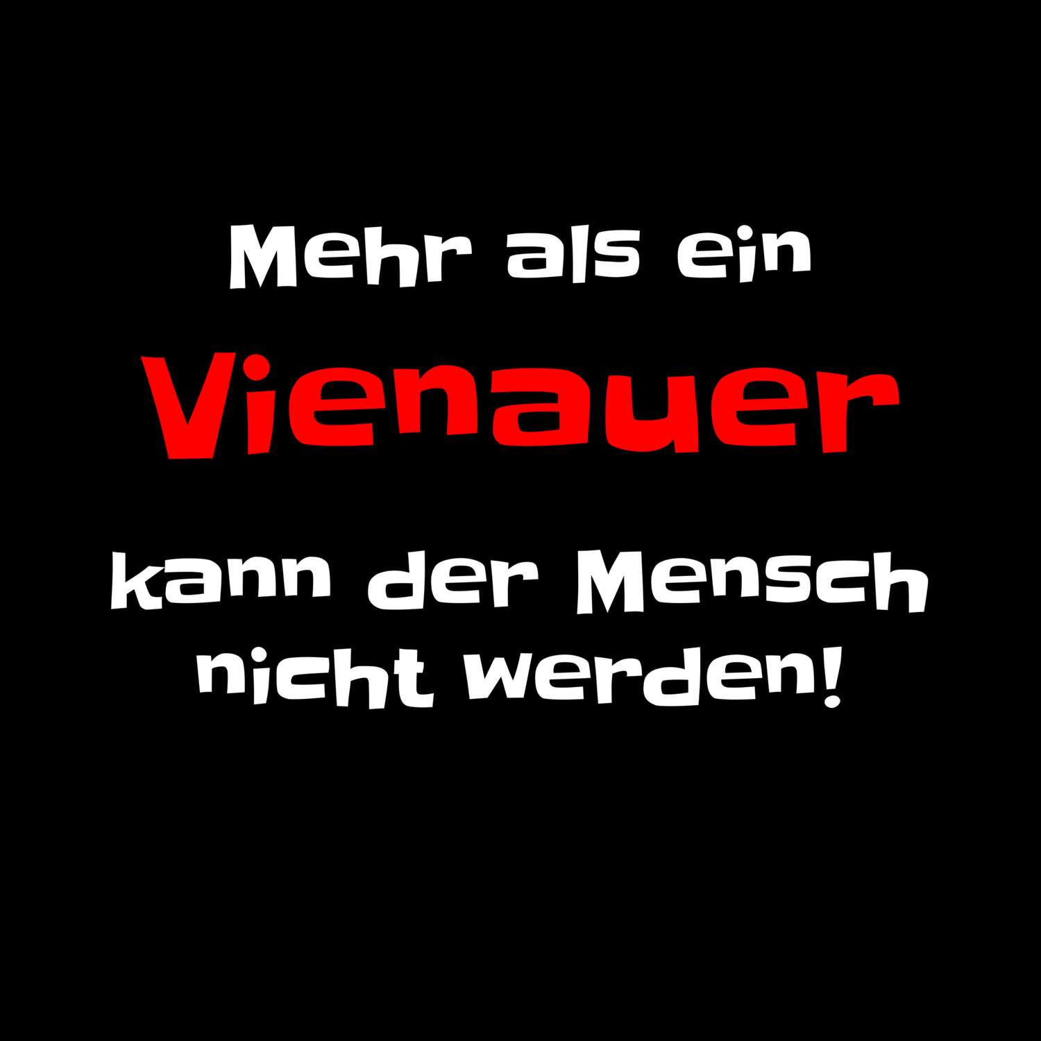 Vienau T-Shirt »Mehr als ein«