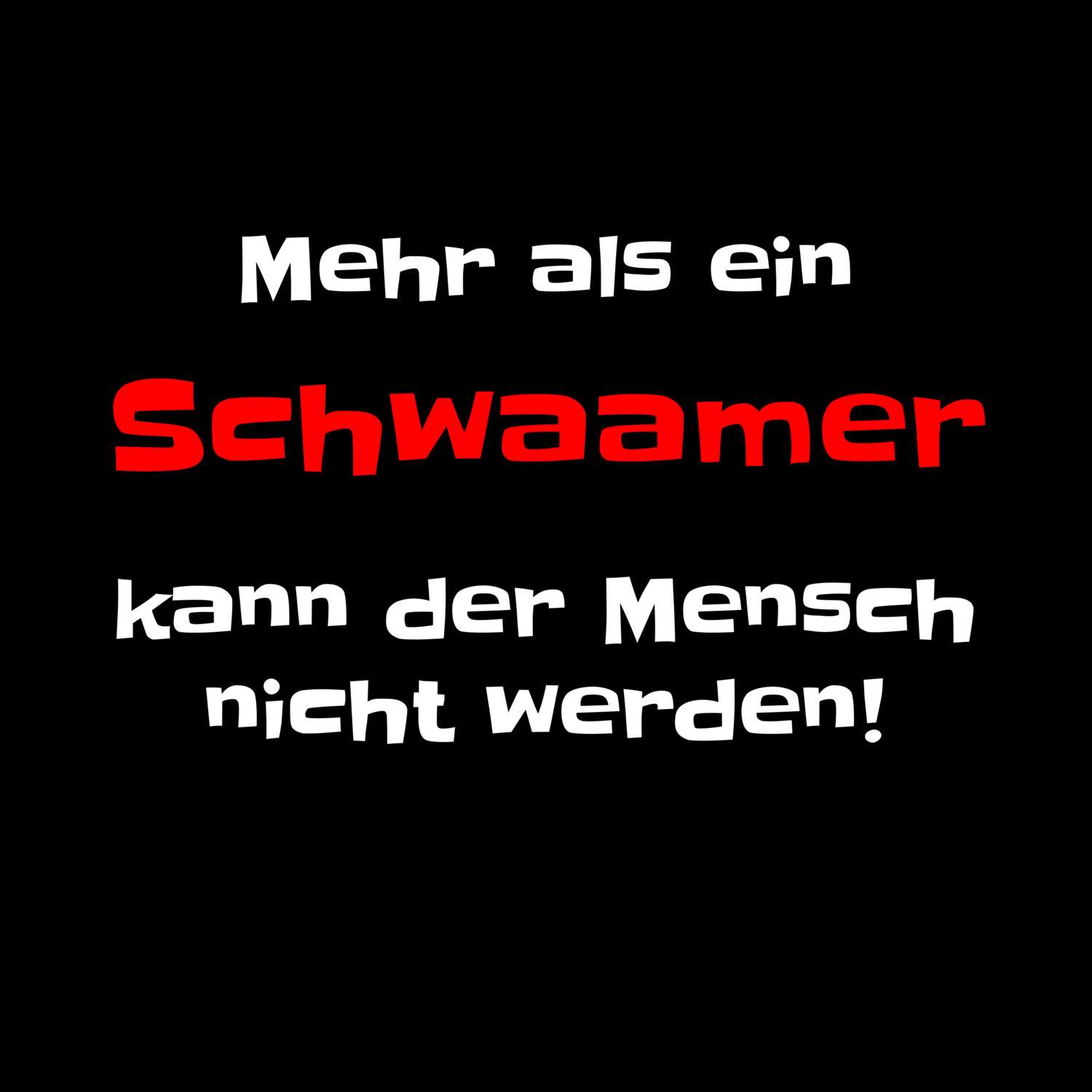 Schwaam T-Shirt »Mehr als ein«