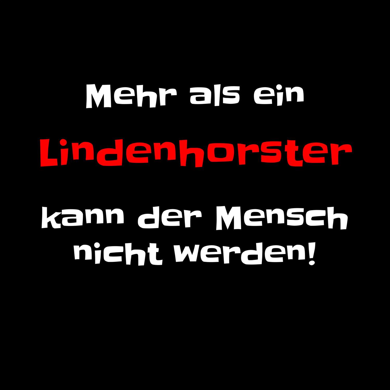 Lindenhorst T-Shirt »Mehr als ein«