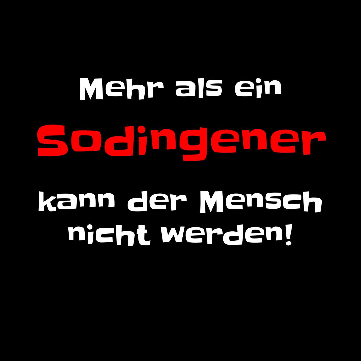 Sodingen T-Shirt »Mehr als ein«