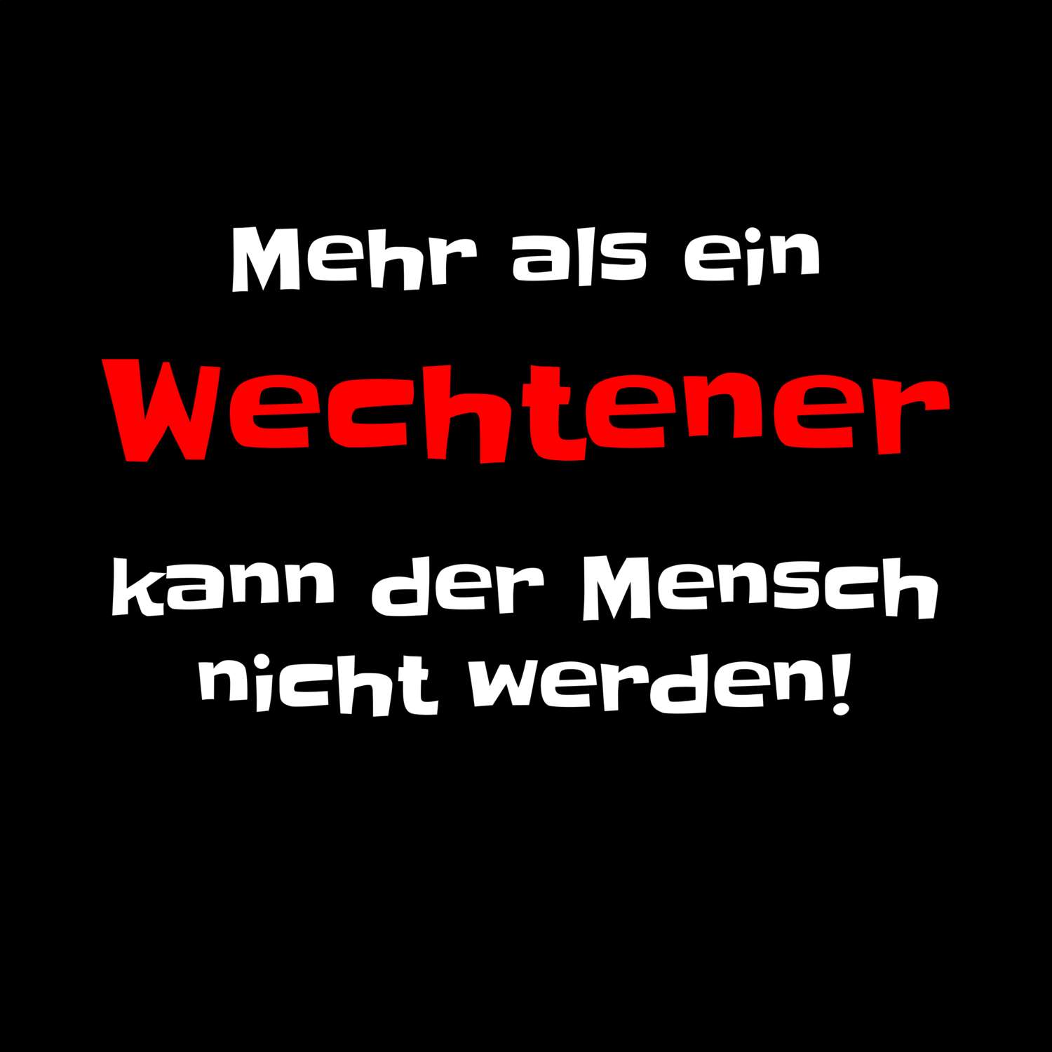 Wechte T-Shirt »Mehr als ein«