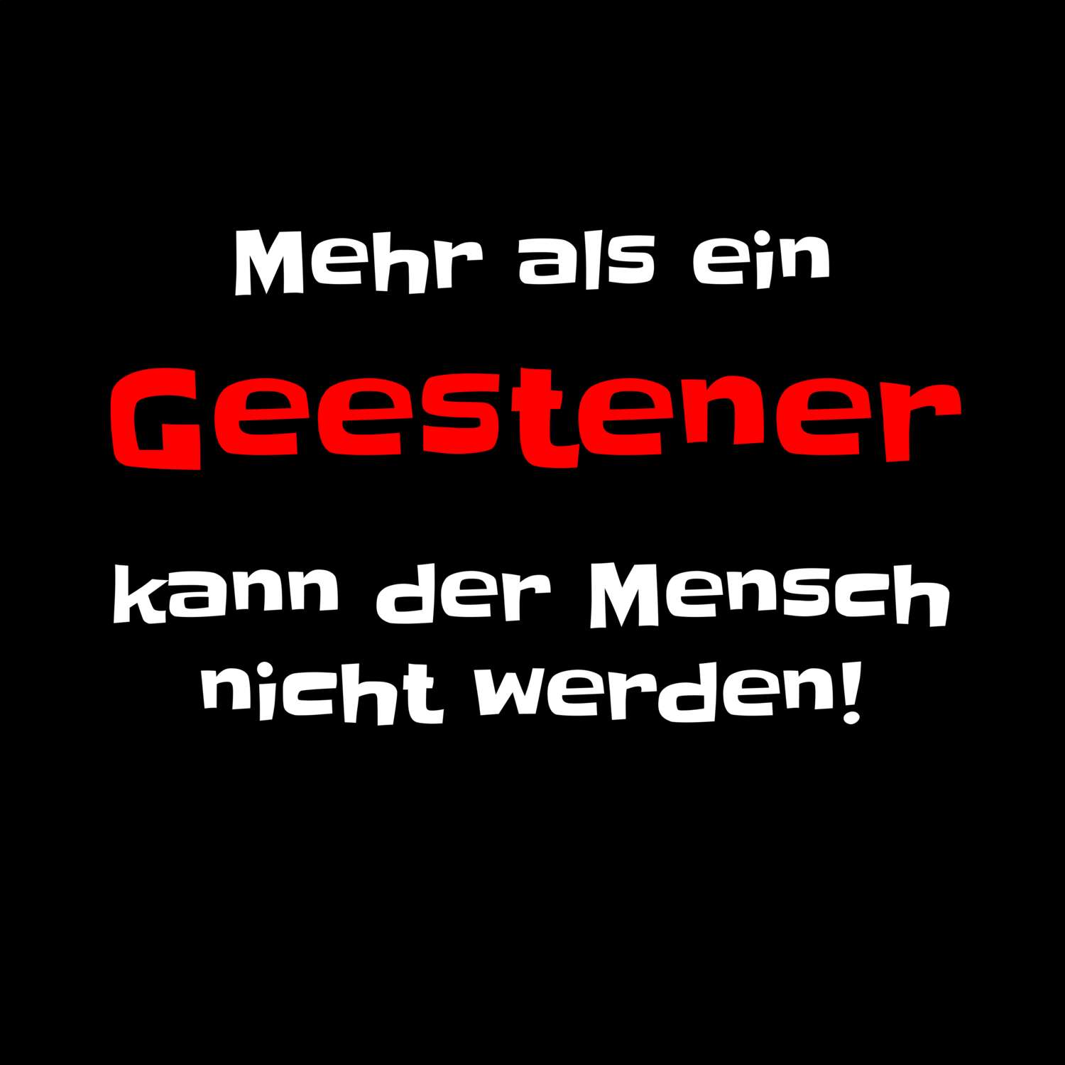 Geeste T-Shirt »Mehr als ein«