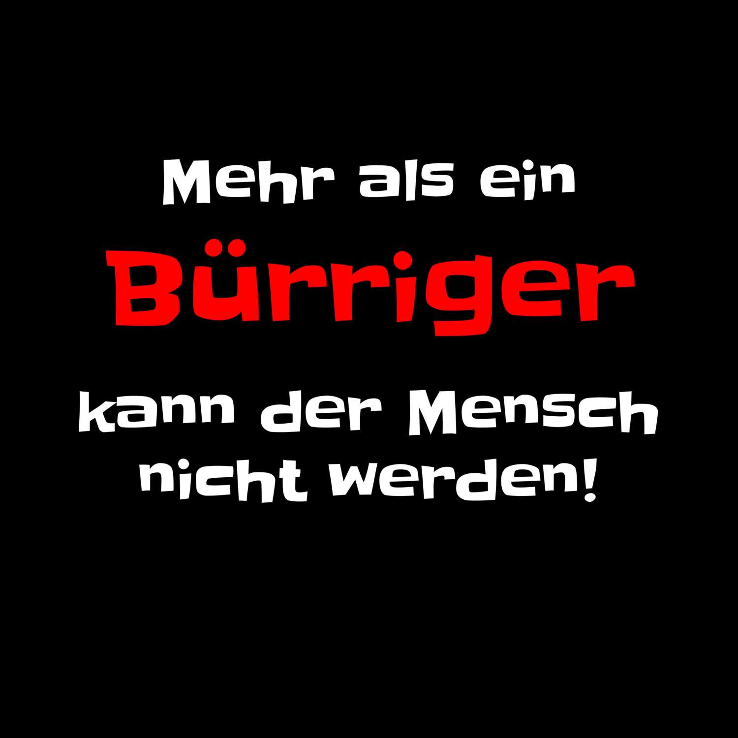 Bürrig T-Shirt »Mehr als ein«