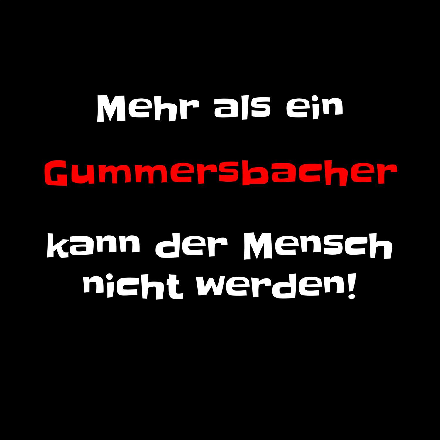 Gummersbach T-Shirt »Mehr als ein«