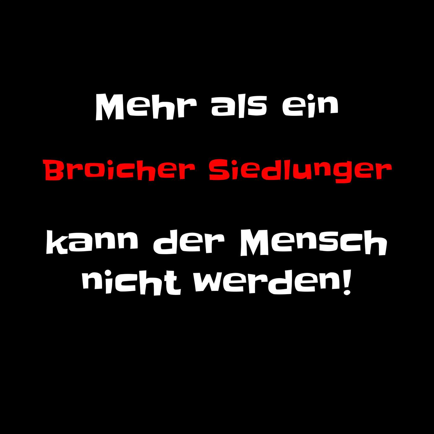 Broicher Siedlung T-Shirt »Mehr als ein«