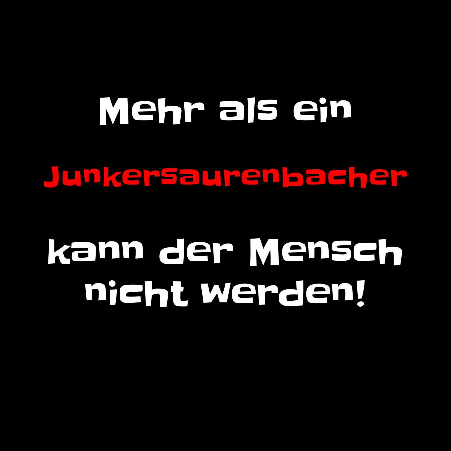 Junkersaurenbach T-Shirt »Mehr als ein«