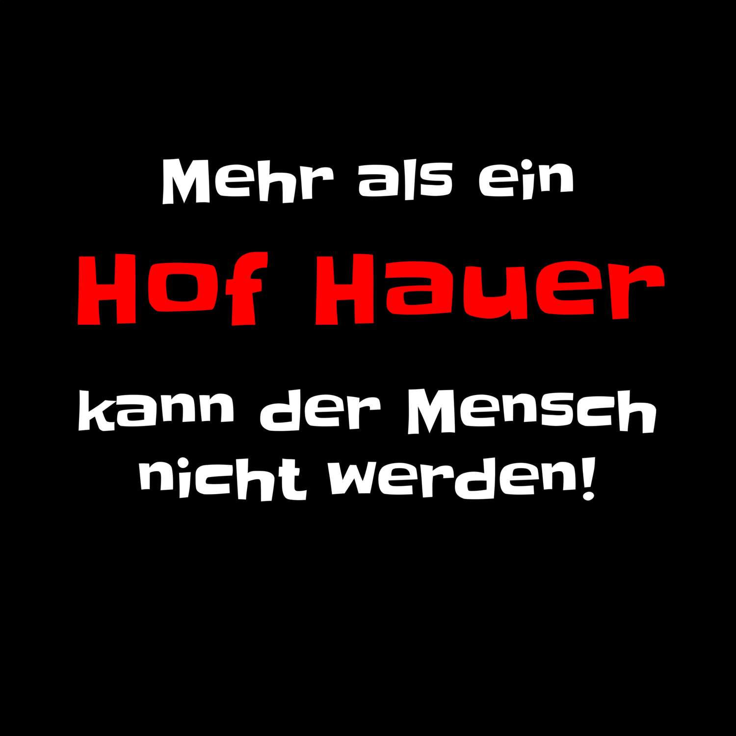 T-Shirt »Mehr als ein« für den Ort »Hof Hau«