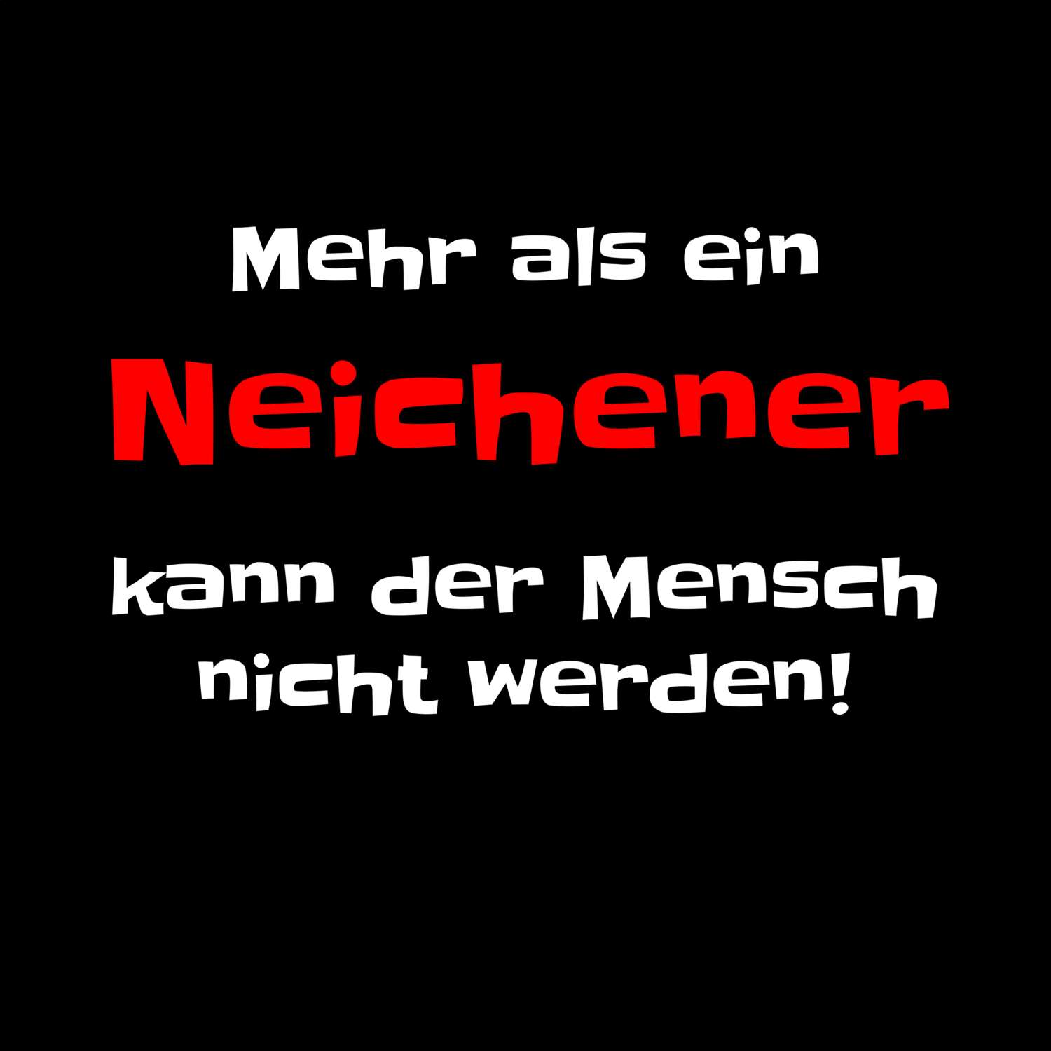 Neichen T-Shirt »Mehr als ein«