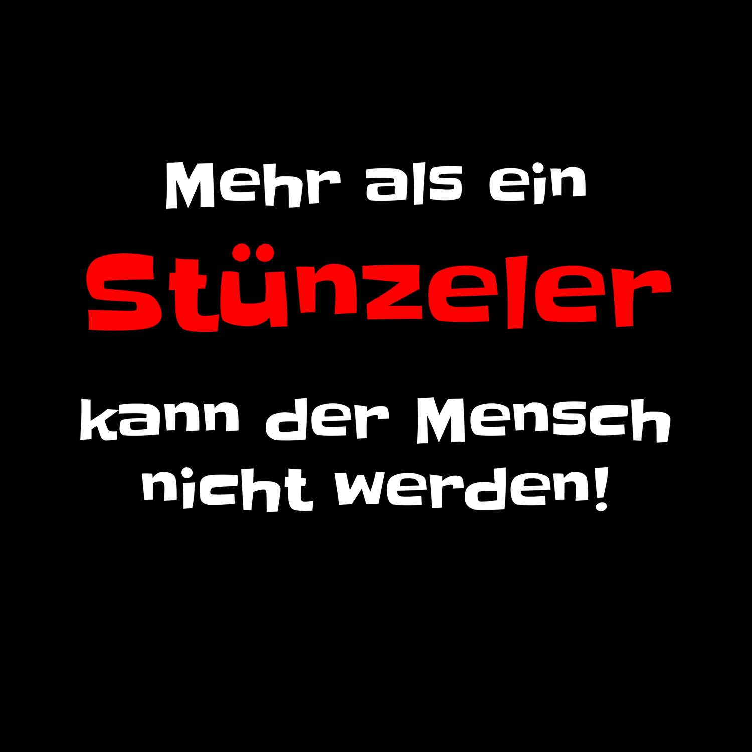 Stünzel T-Shirt »Mehr als ein«