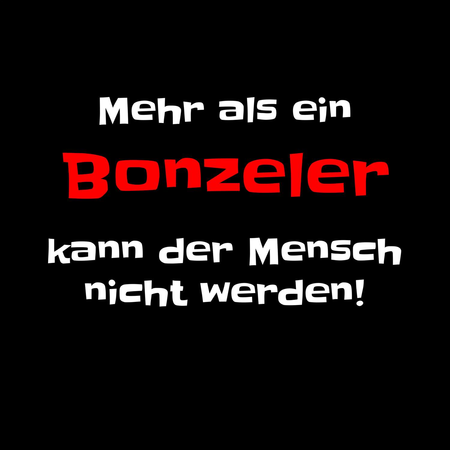 Bonzel T-Shirt »Mehr als ein«