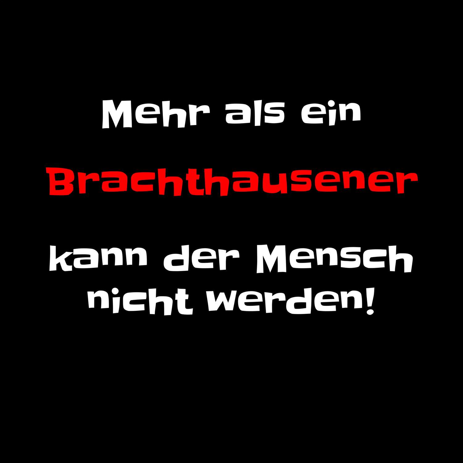 Brachthausen T-Shirt »Mehr als ein«