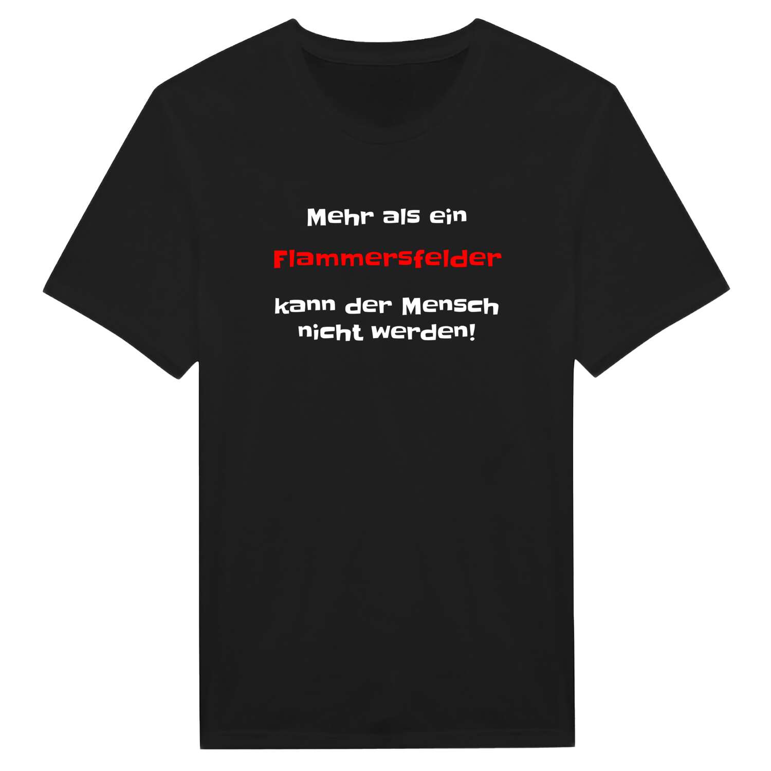 Flammersfeld T-Shirt »Mehr als ein«