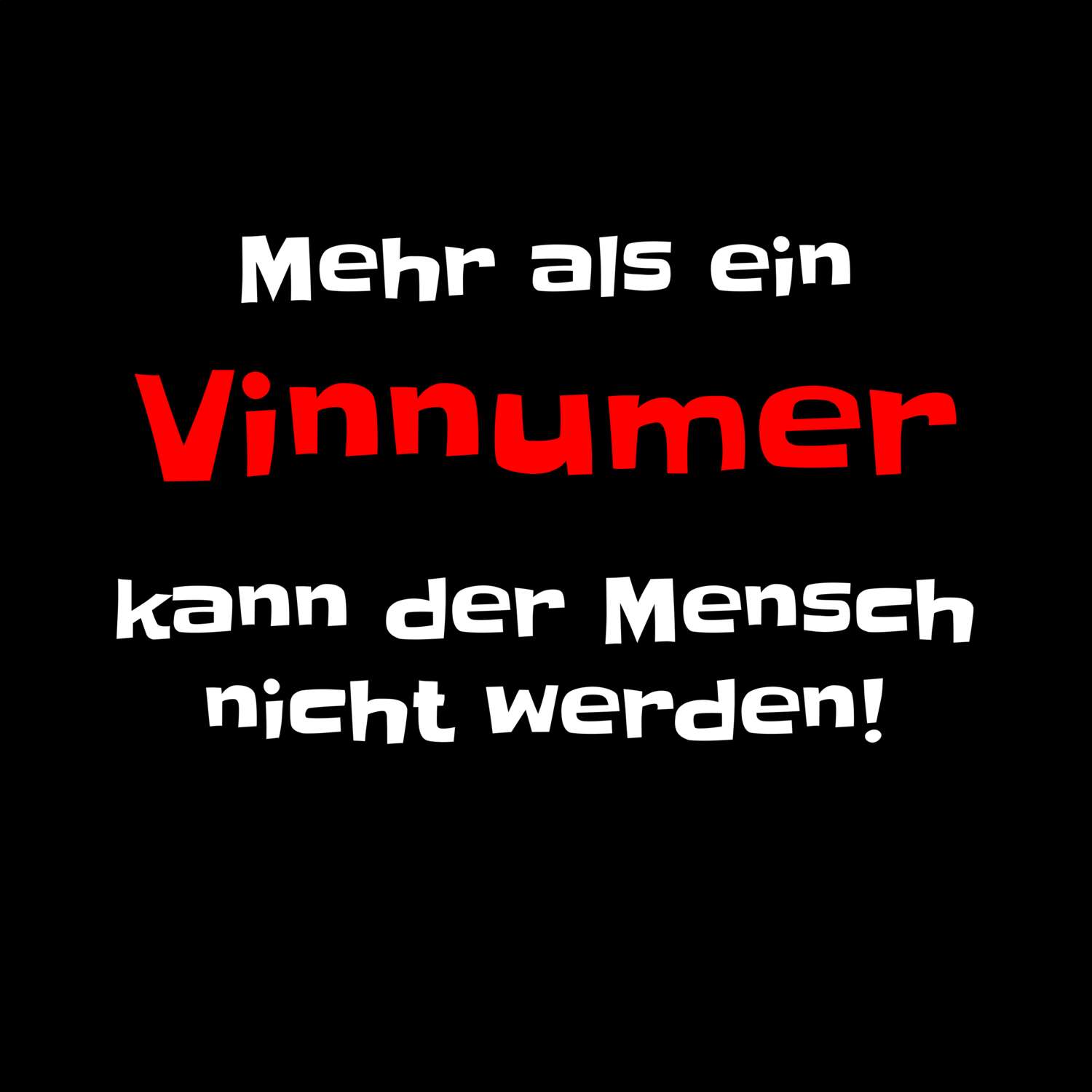 Vinnum T-Shirt »Mehr als ein«