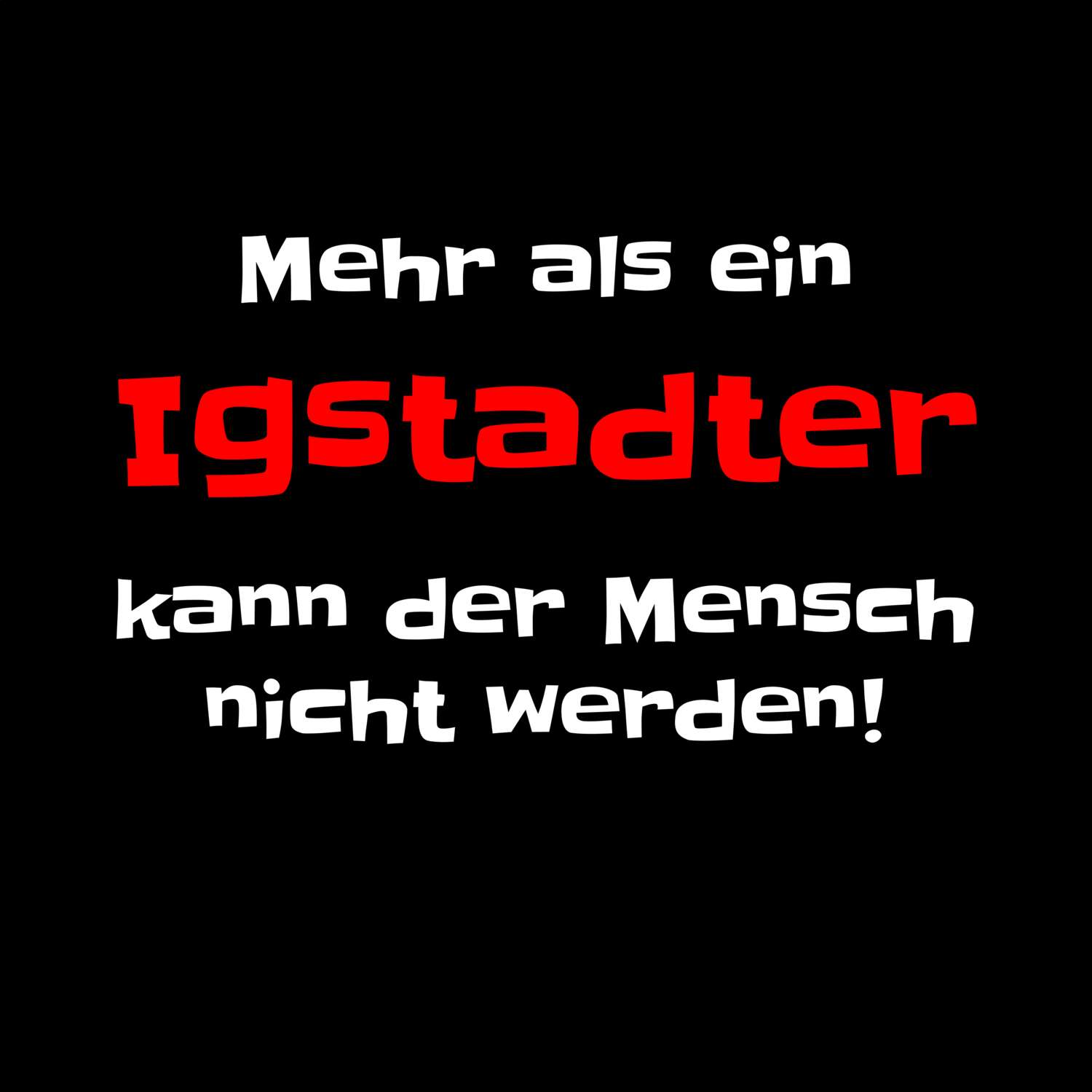 Igstadt T-Shirt »Mehr als ein«