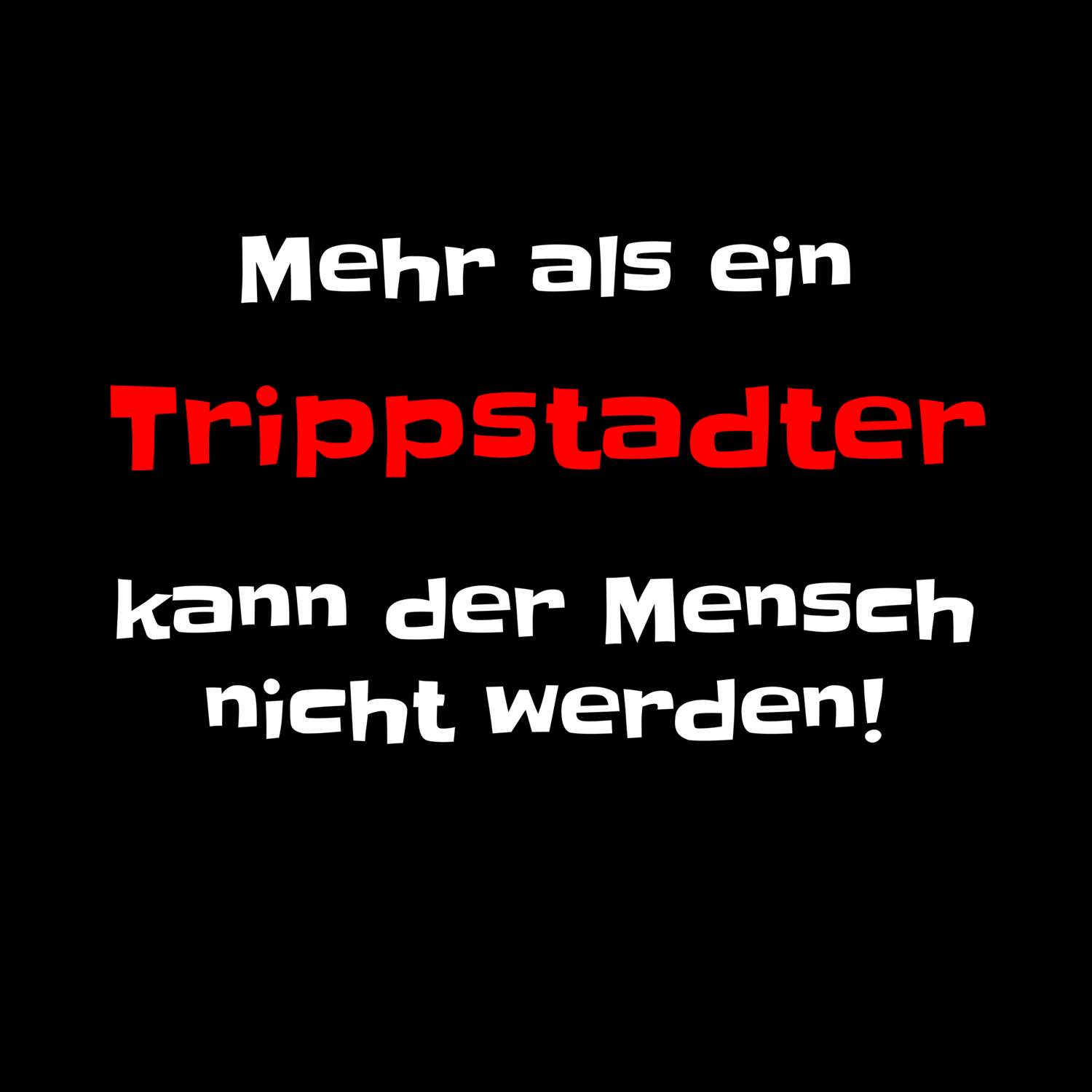 Trippstadt T-Shirt »Mehr als ein«