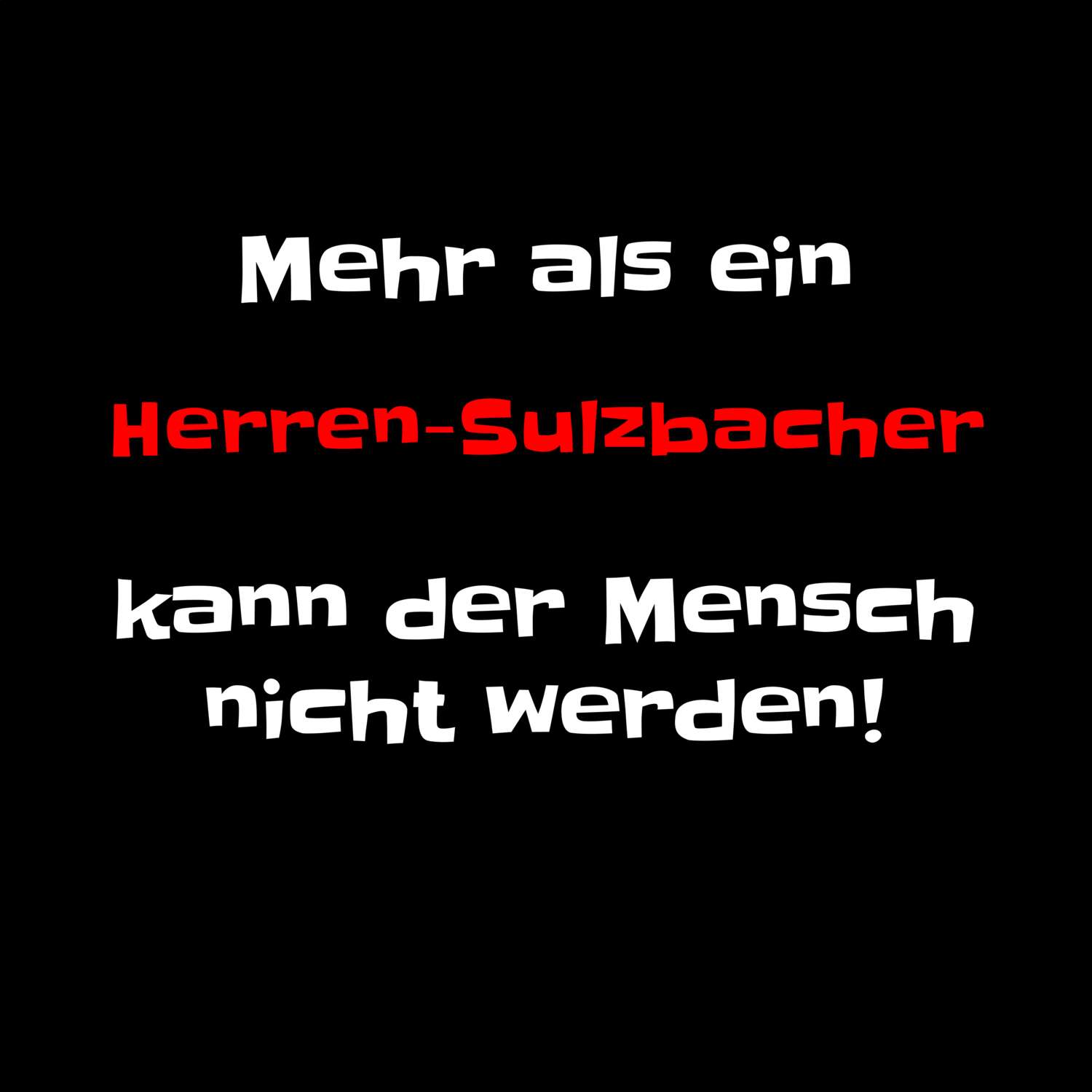 Herren-Sulzbach T-Shirt »Mehr als ein«