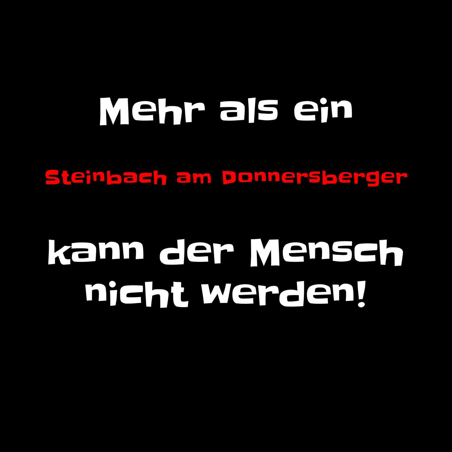 Steinbach am Donnersberg T-Shirt »Mehr als ein«