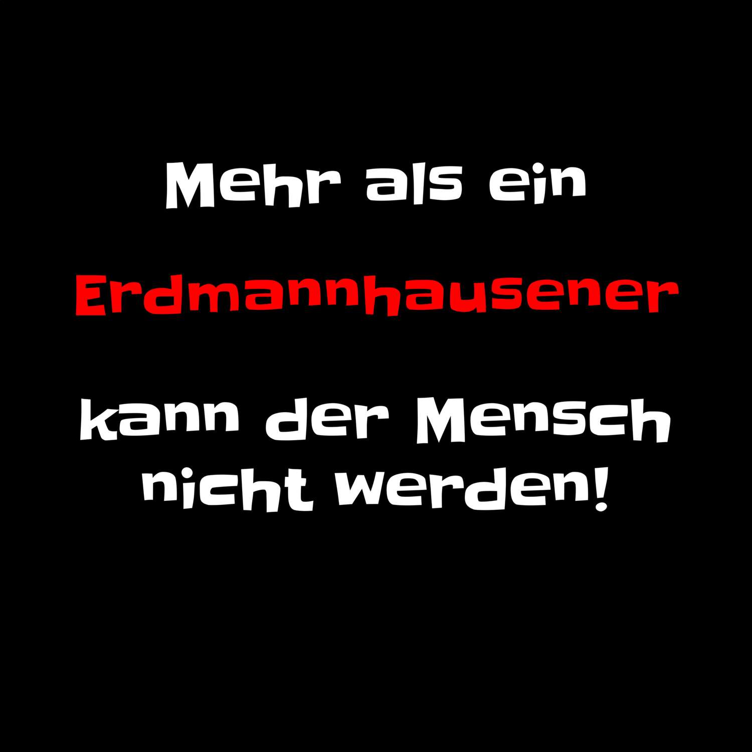 Erdmannhausen T-Shirt »Mehr als ein«