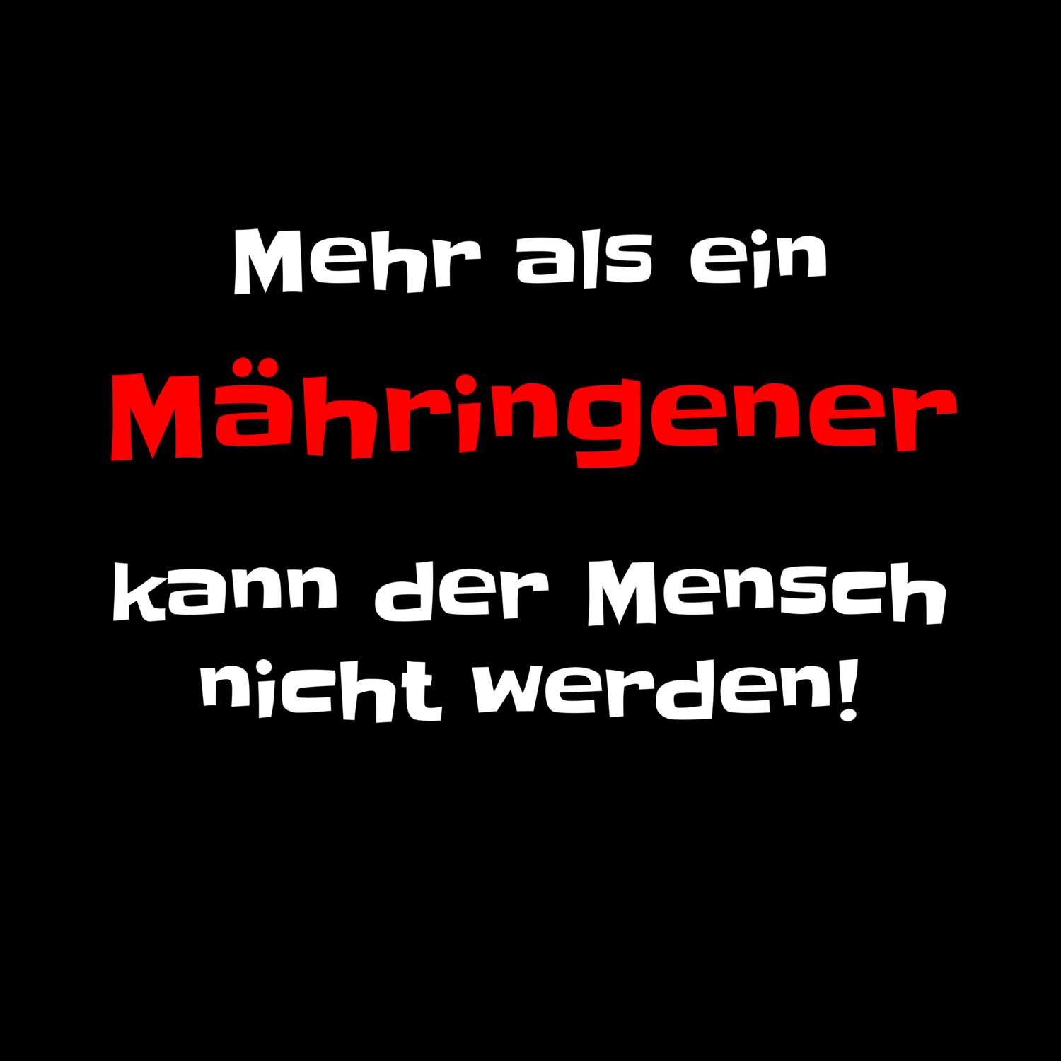 Mähringen T-Shirt »Mehr als ein«