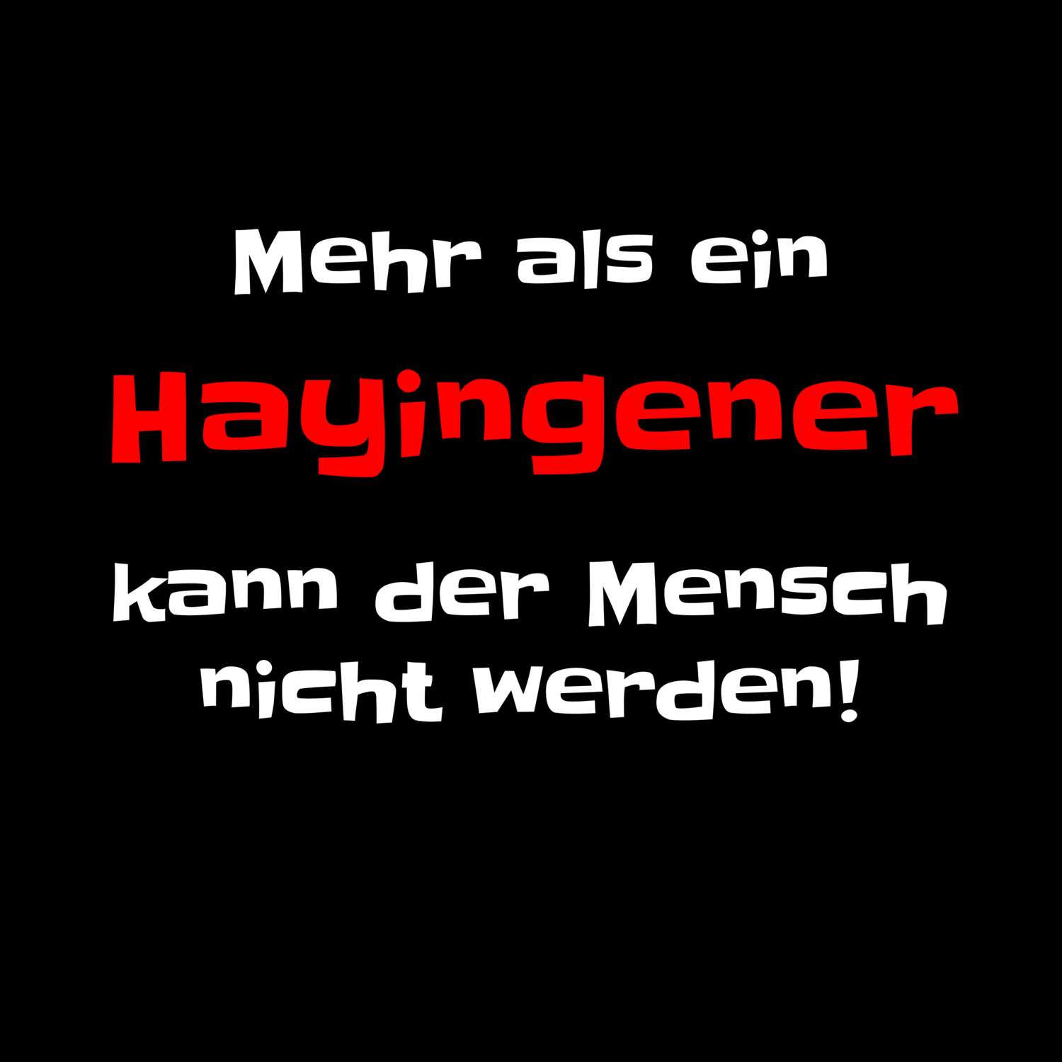 Hayingen T-Shirt »Mehr als ein«