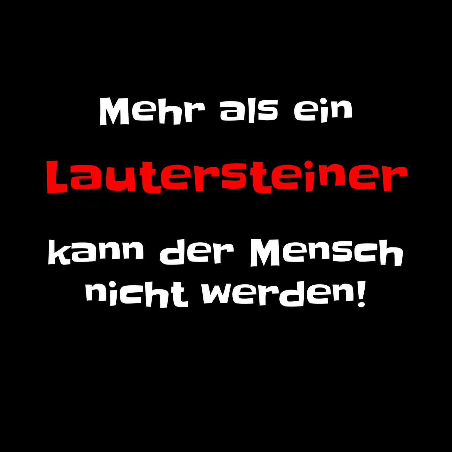 Lauterstein T-Shirt »Mehr als ein«