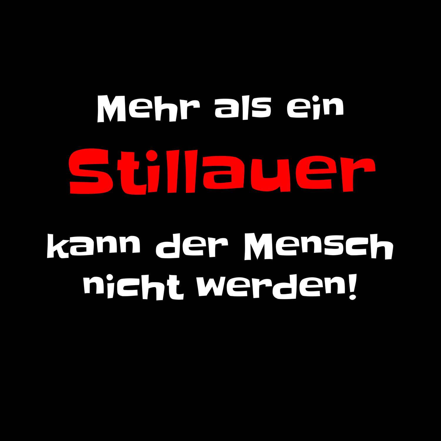 Stillau T-Shirt »Mehr als ein«