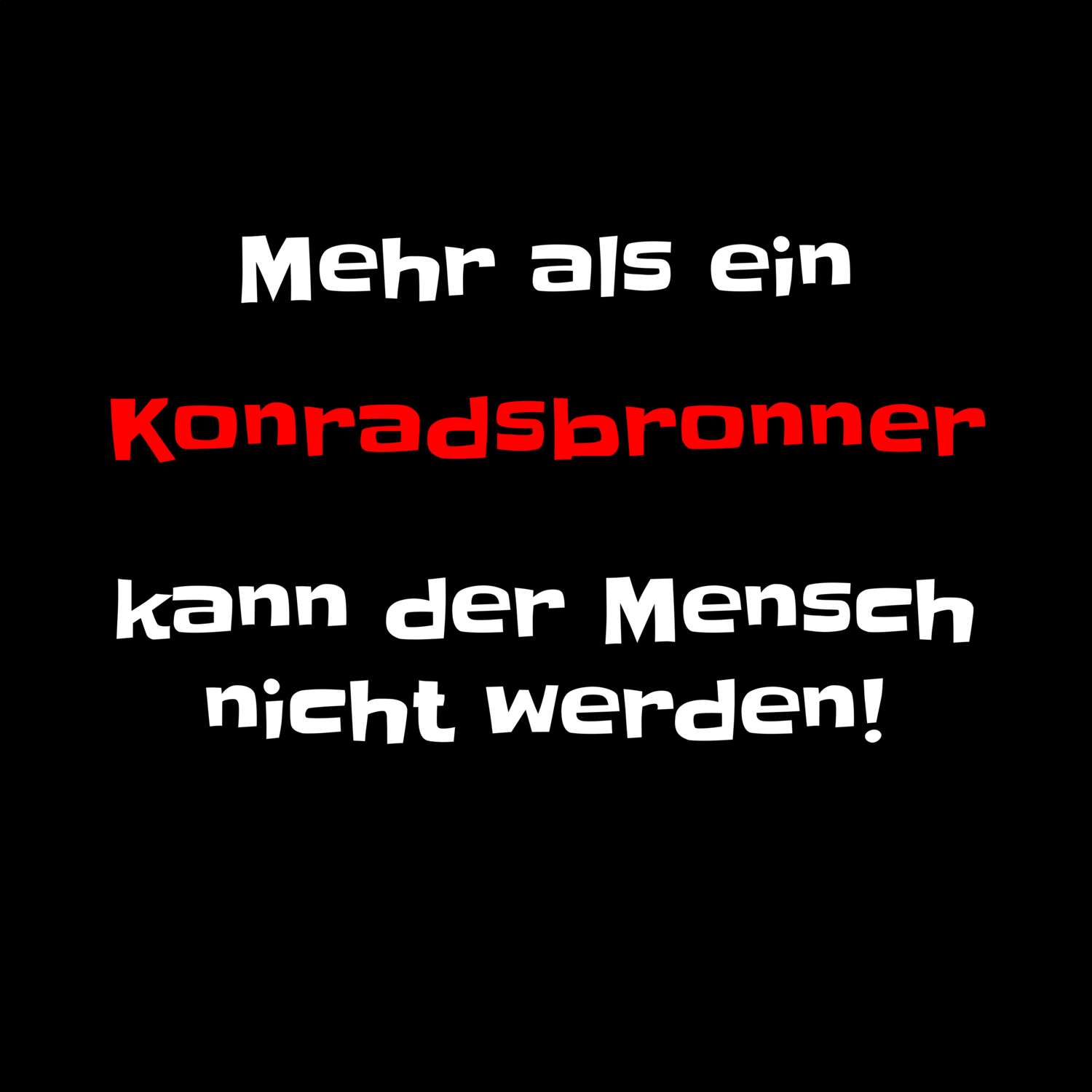 Konradsbronn T-Shirt »Mehr als ein«