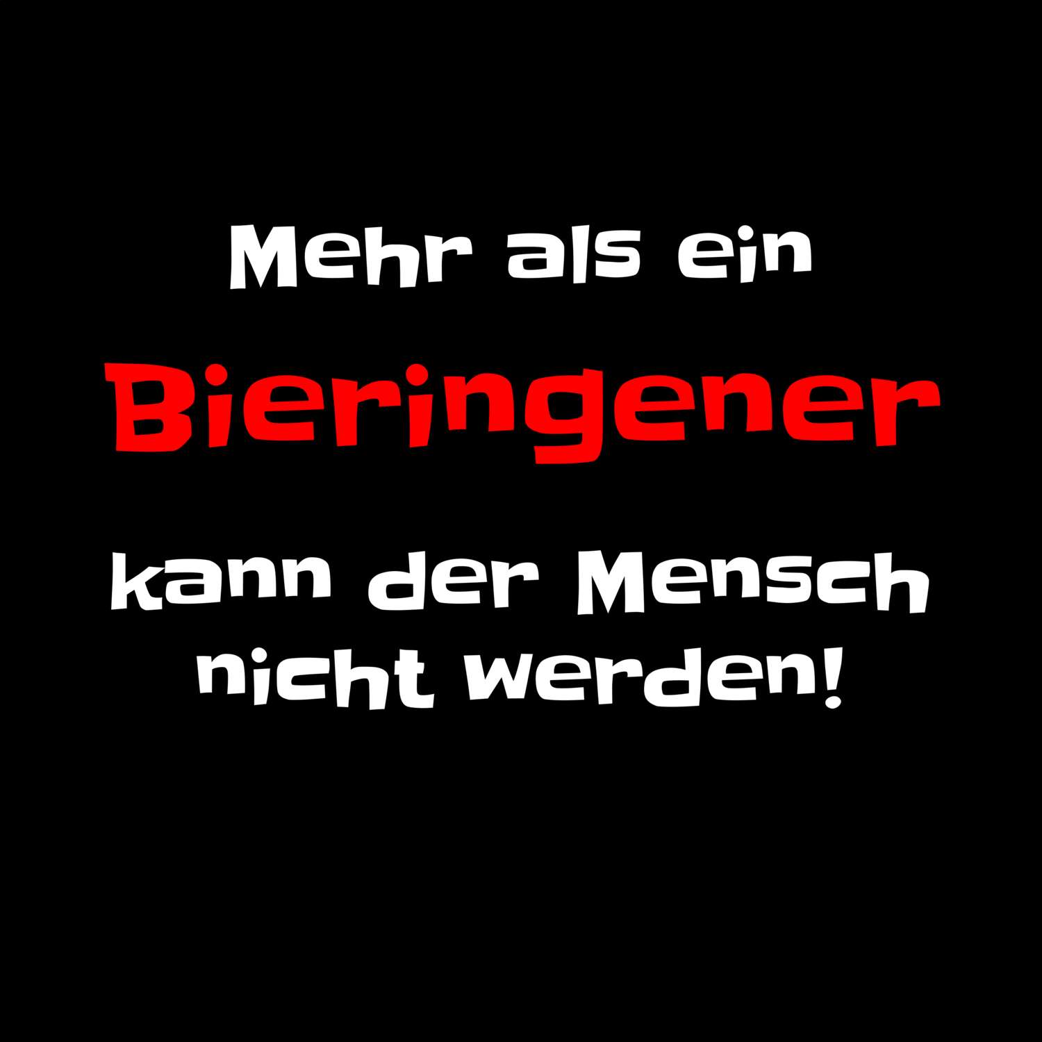 Bieringen T-Shirt »Mehr als ein«